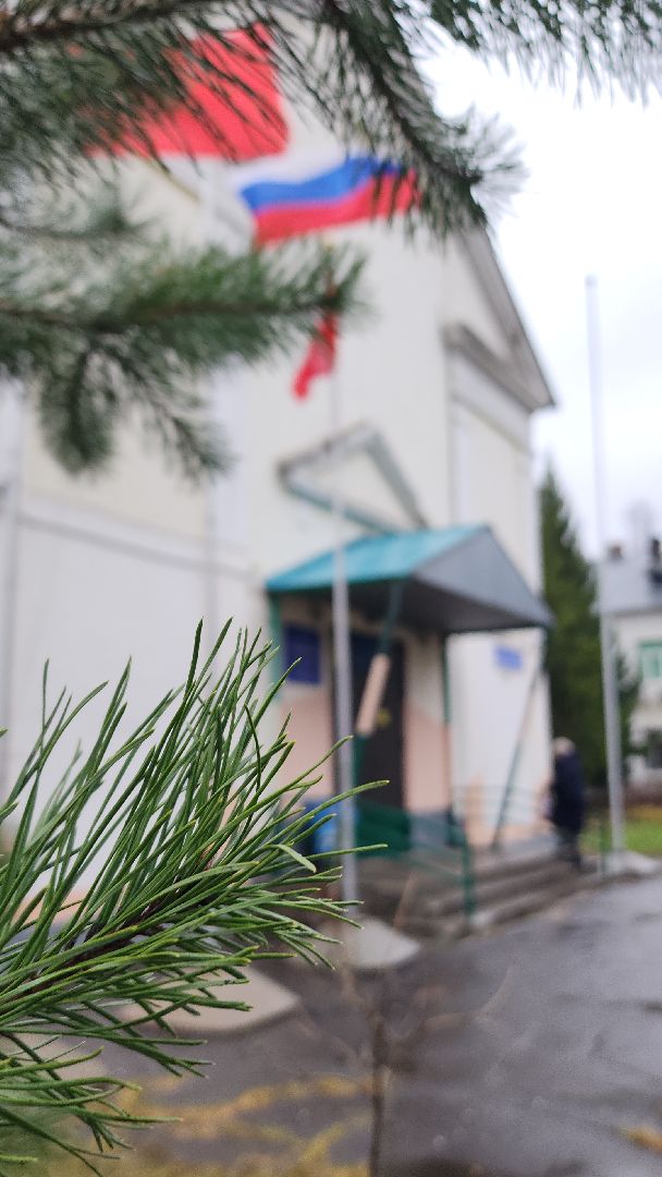 день мамы, электросталь, мой город, жители города, директор, многодетная мама, многодетная семья, многодетная мать, лицей 8, образование в подмосковье, образование электросталь, вертикалка, вертикальное видео,