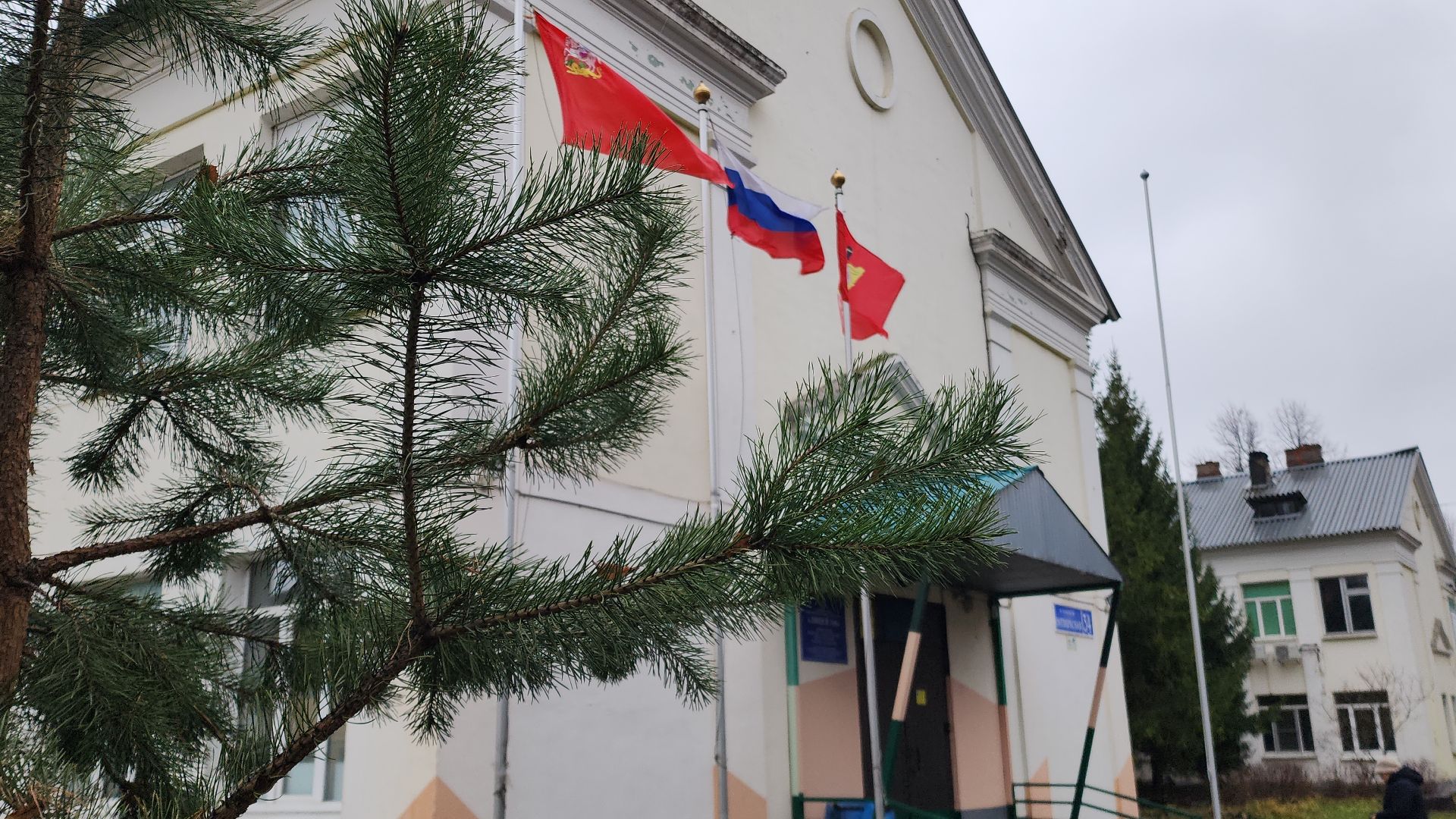 день мамы, электросталь, мой город, жители города, директор, многодетная мама, многодетная семья, многодетная мать, лицей 8, образование в подмосковье, образование электросталь, вертикалка, вертикальное видео,