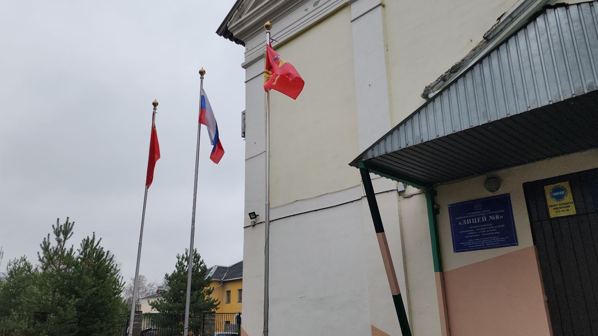 день мамы, электросталь, мой город, жители города, директор, многодетная мама, многодетная семья, многодетная мать, лицей 8, образование в подмосковье, образование электросталь, вертикалка, вертикальное видео,