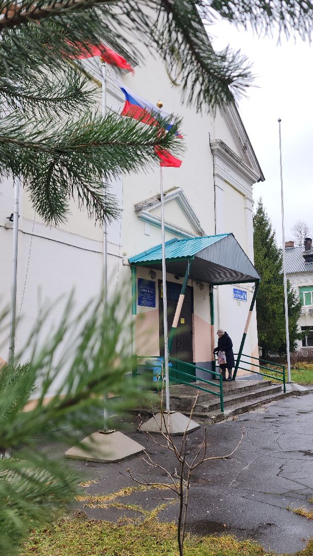 день мамы, электросталь, мой город, жители города, директор, многодетная мама, многодетная семья, многодетная мать, лицей 8, образование в подмосковье, образование электросталь, вертикалка, вертикальное видео,