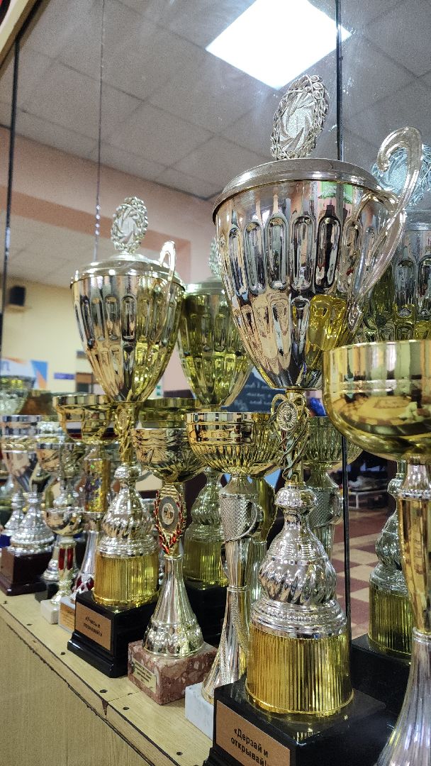 день мамы, электросталь, мой город, жители города, директор, многодетная мама, многодетная семья, многодетная мать, лицей 8, образование в подмосковье, образование электросталь, вертикалка, вертикальное видео,