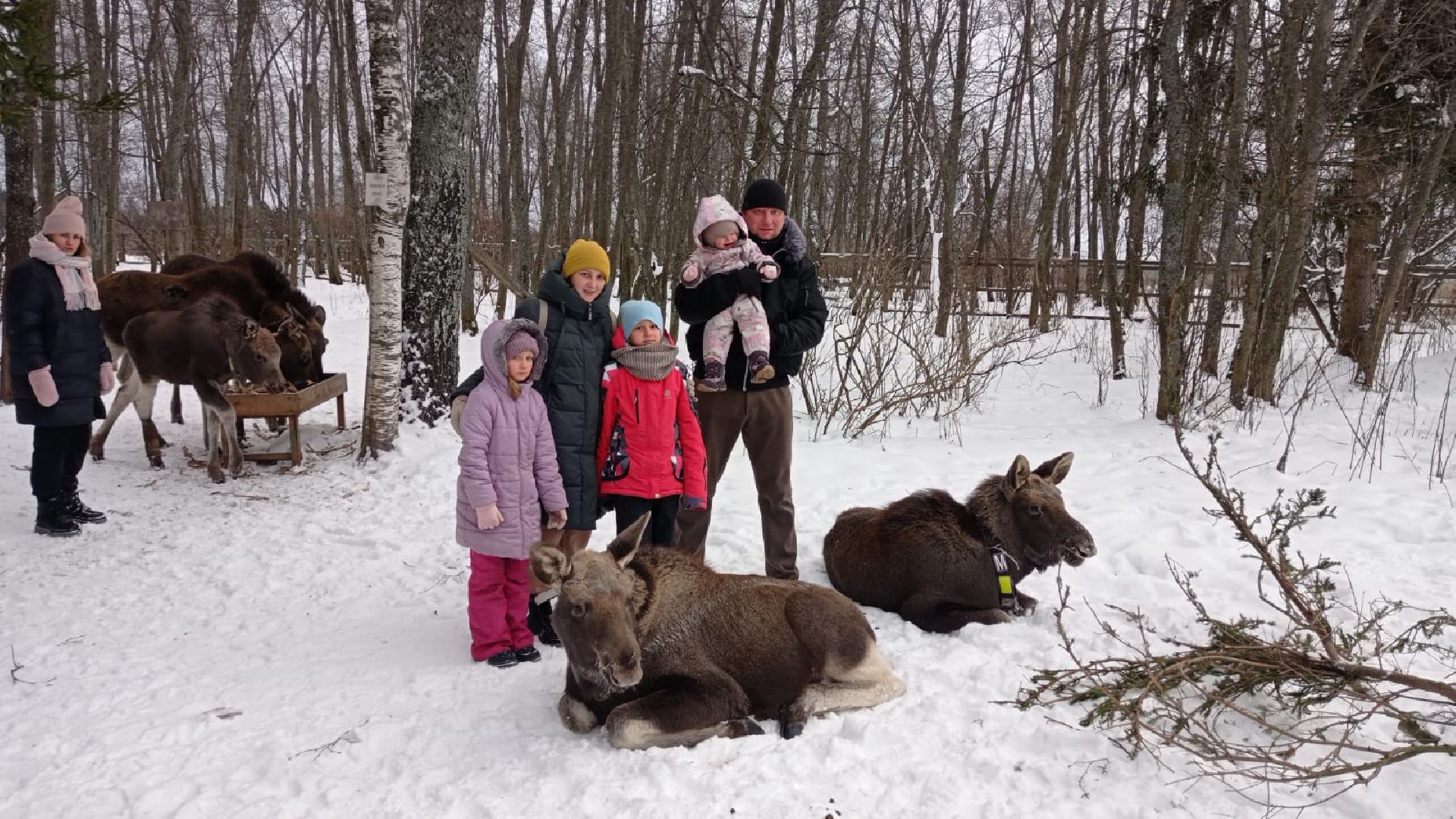 вертикалки, пушкино, многодетная мама, многодетные семьи, дети, творчество, родительский опыт, день матери,воспитание детей,