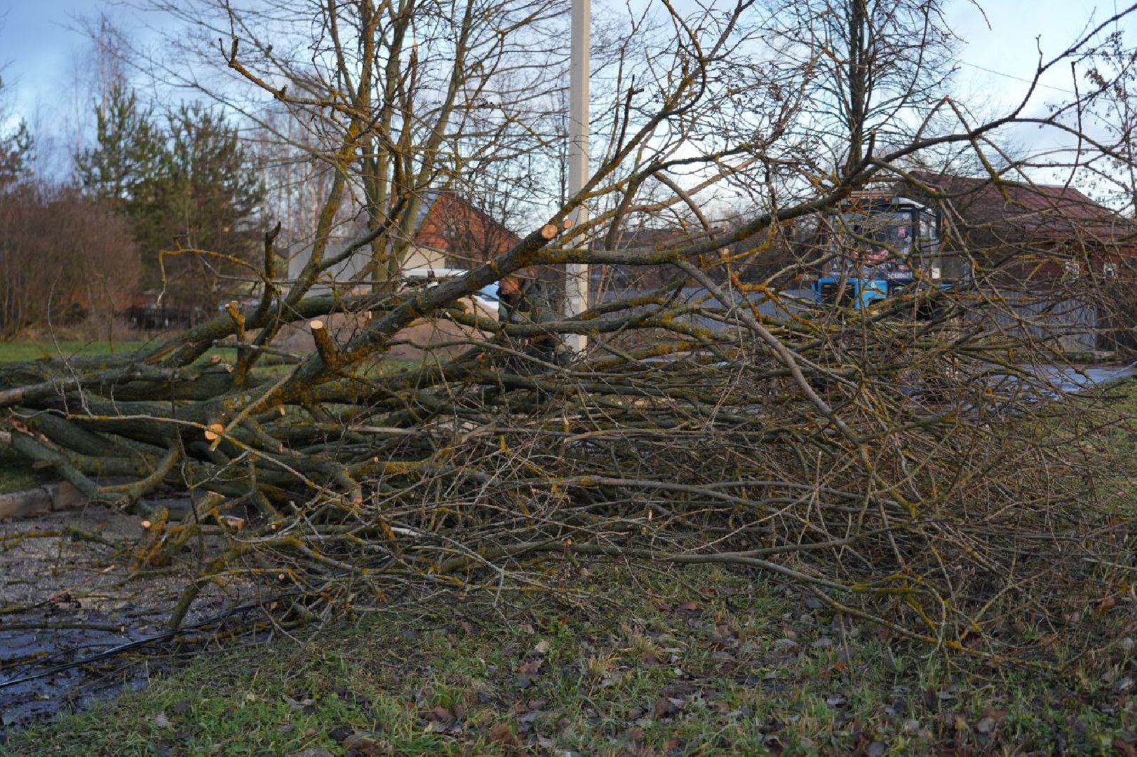 Коммунальные службы, Стихия, Непогода, Ураган, ЖКХ, вертикалки,