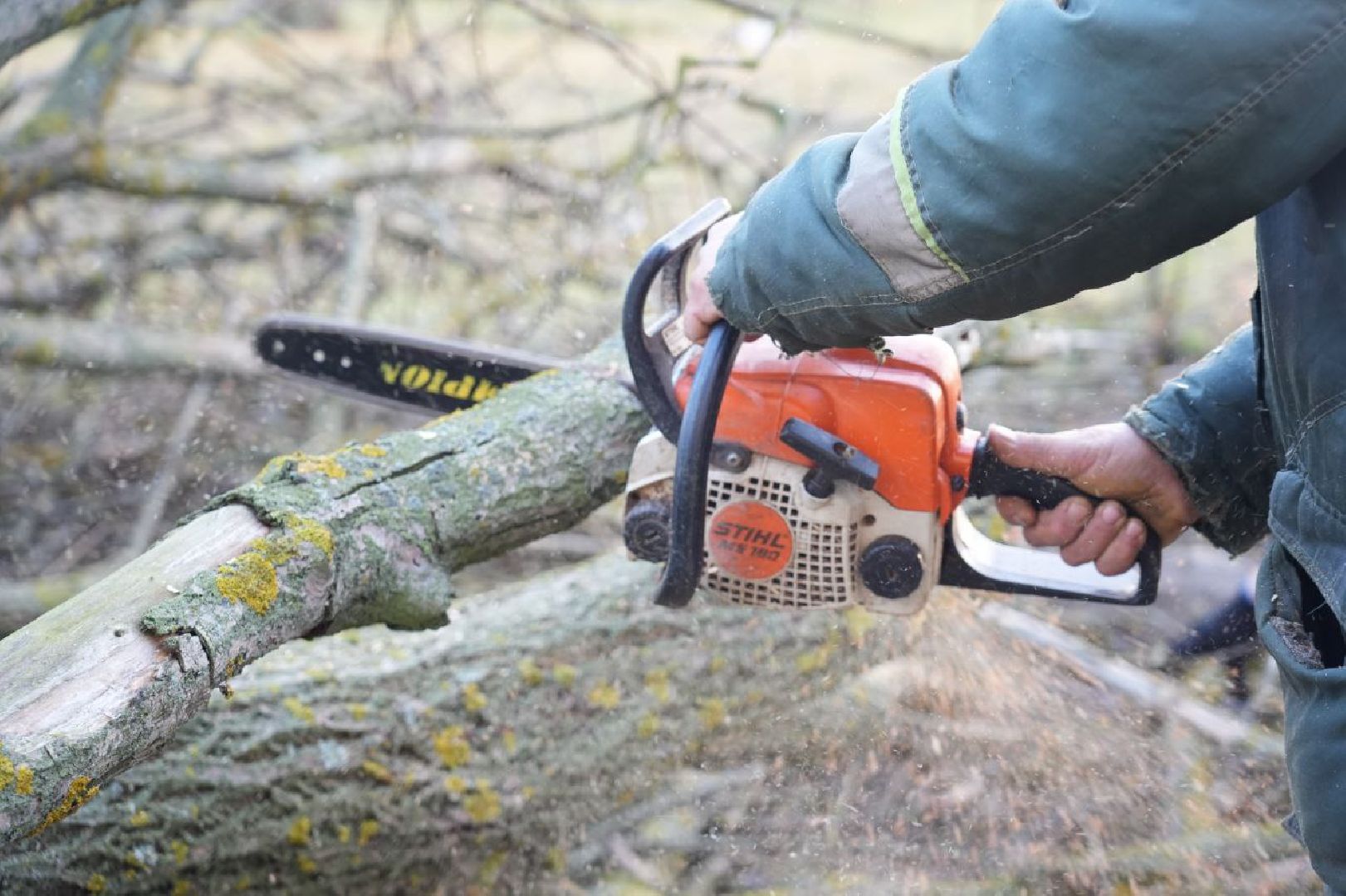 Коммунальные службы, Стихия, Непогода, Ураган, ЖКХ, вертикалки,