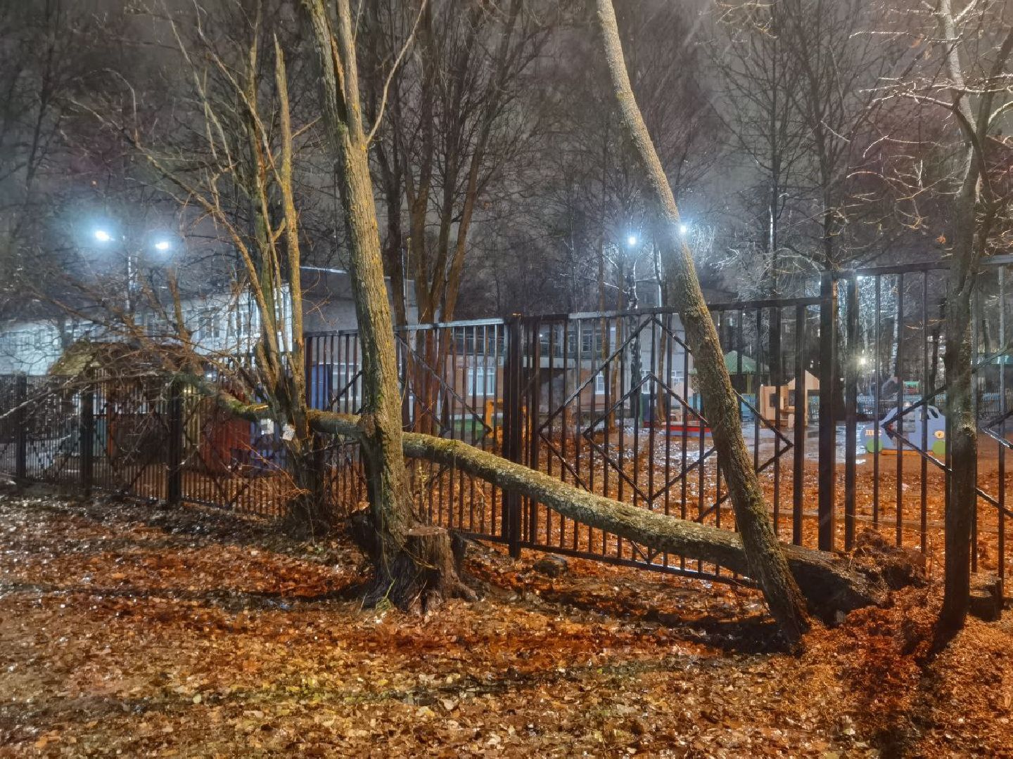 Коммунальные службы, Стихия, Непогода, Ураган, ЖКХ, вертикалки,