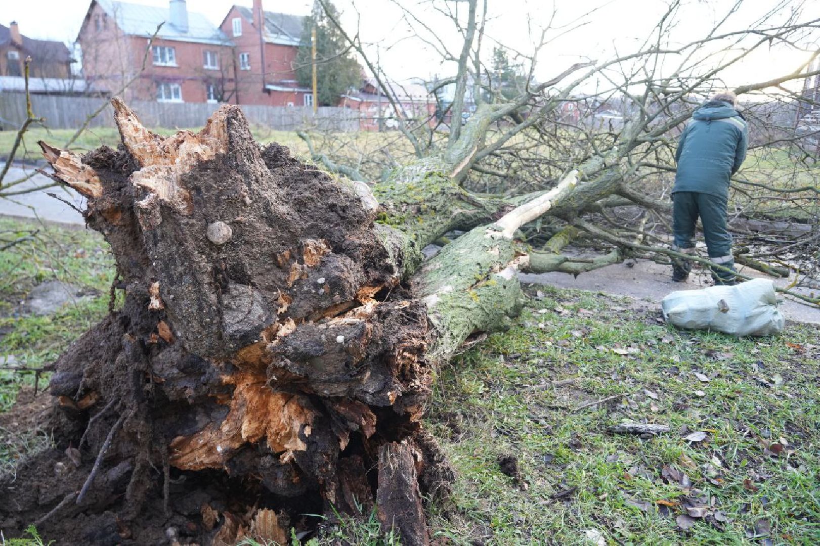 Коммунальные службы, Стихия, Непогода, Ураган, ЖКХ, вертикалки,