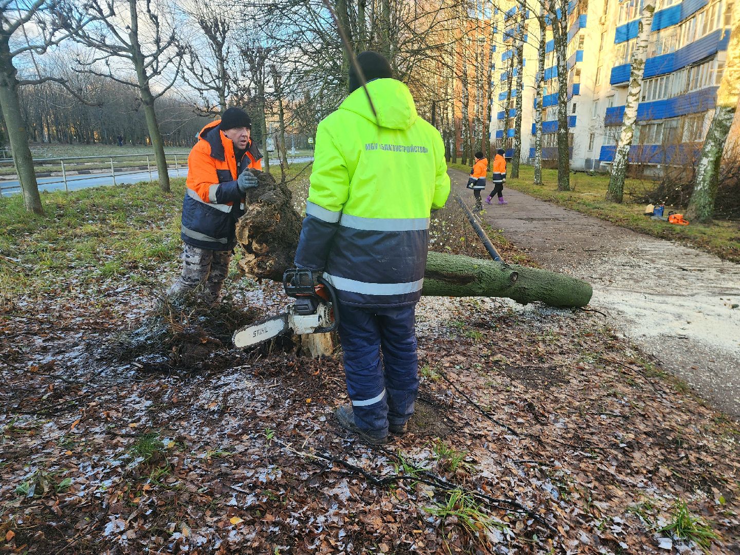 пущино, серпухов, ликвидация последствий непогоды,вертикалки,