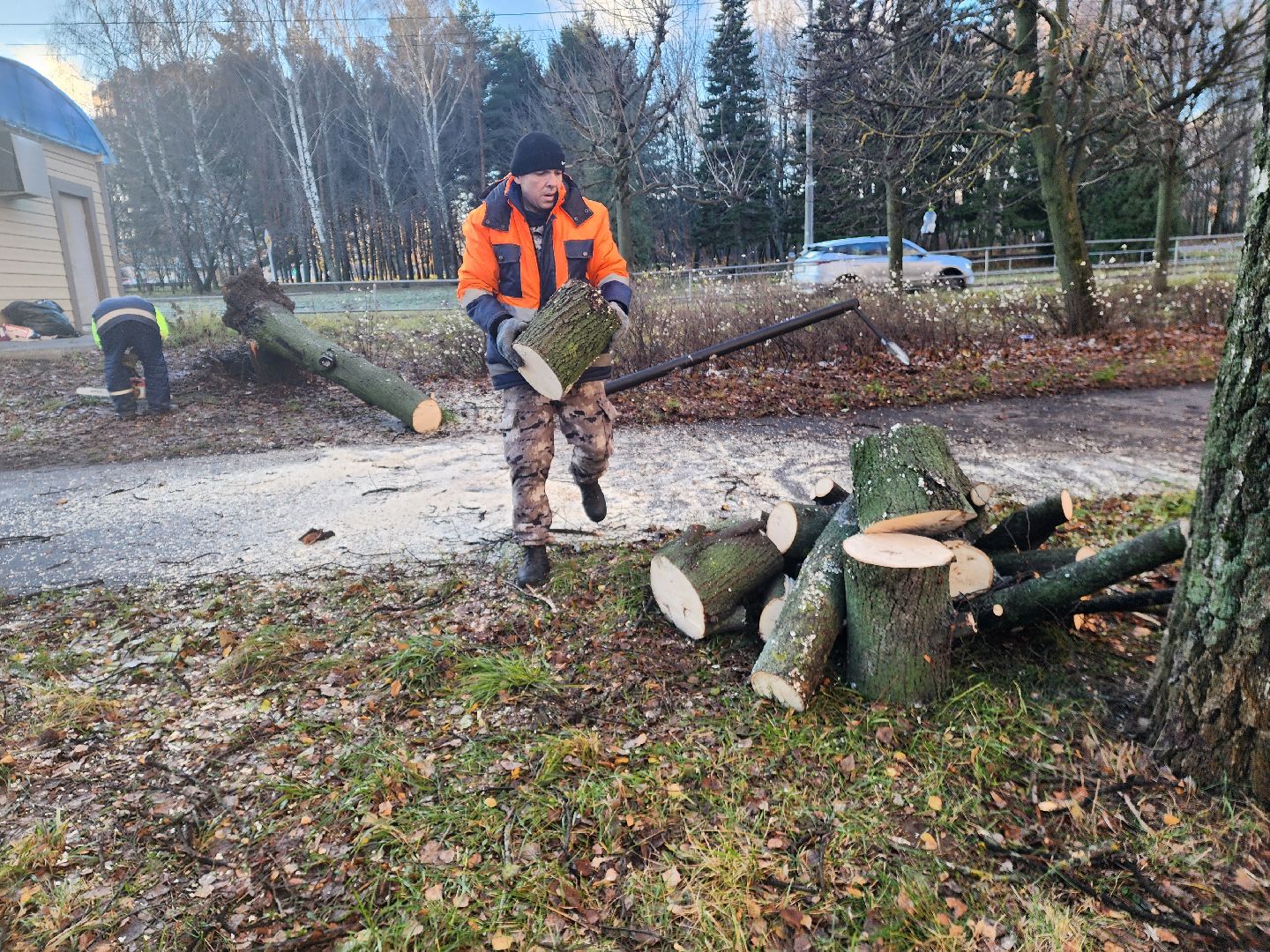 пущино, серпухов, ликвидация последствий непогоды,вертикалки,