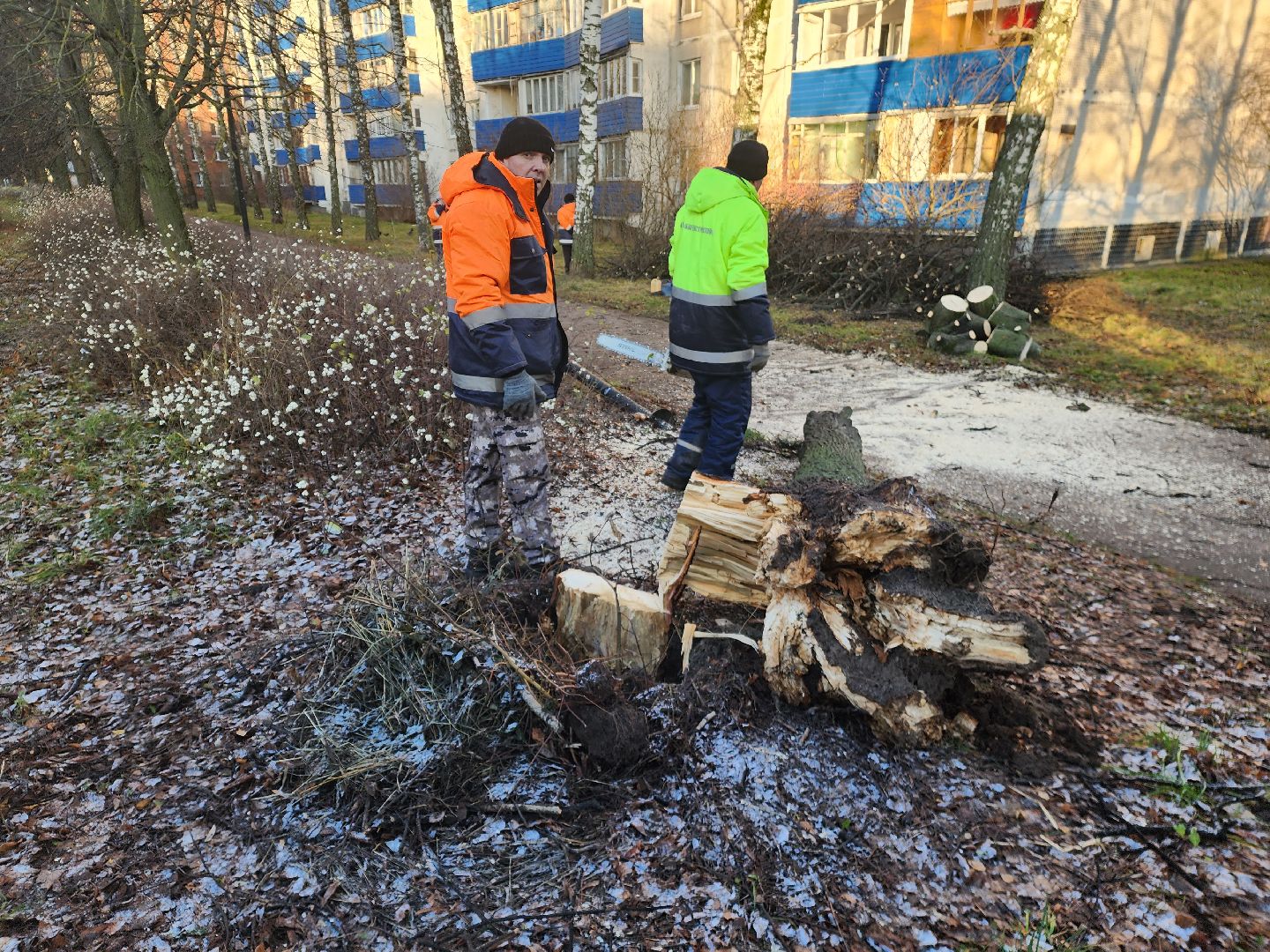 пущино, серпухов, ликвидация последствий непогоды,вертикалки,