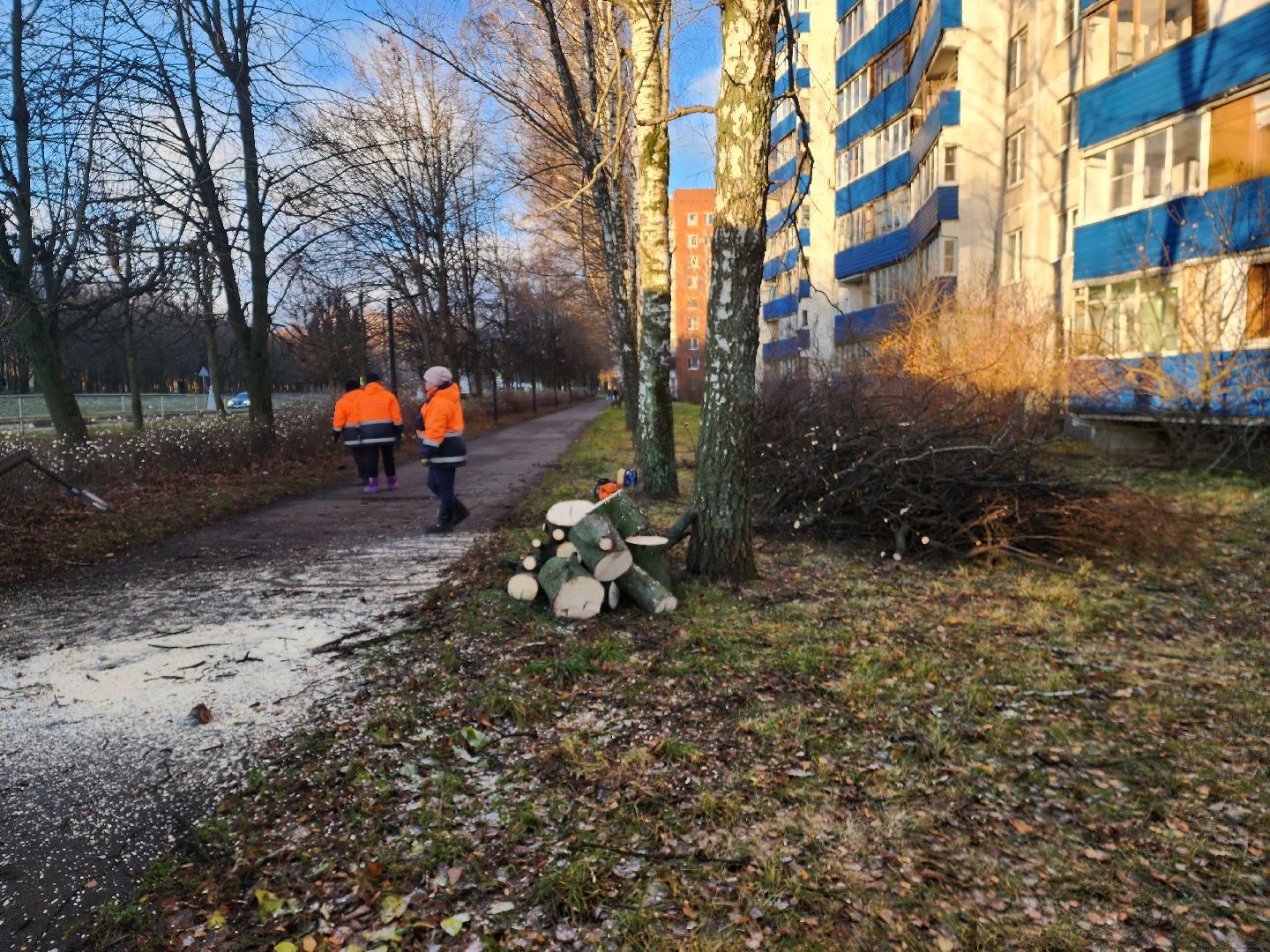 пущино, серпухов, ликвидация последствий непогоды,вертикалки,