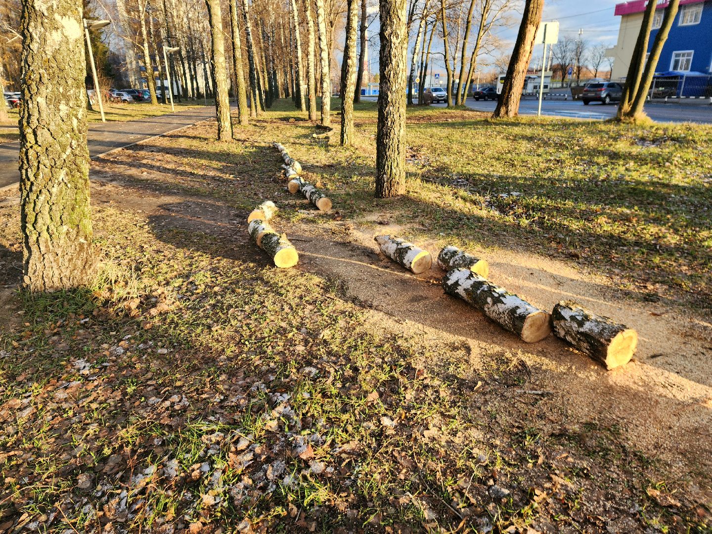 пущино, серпухов, ликвидация последствий непогоды,вертикалки,