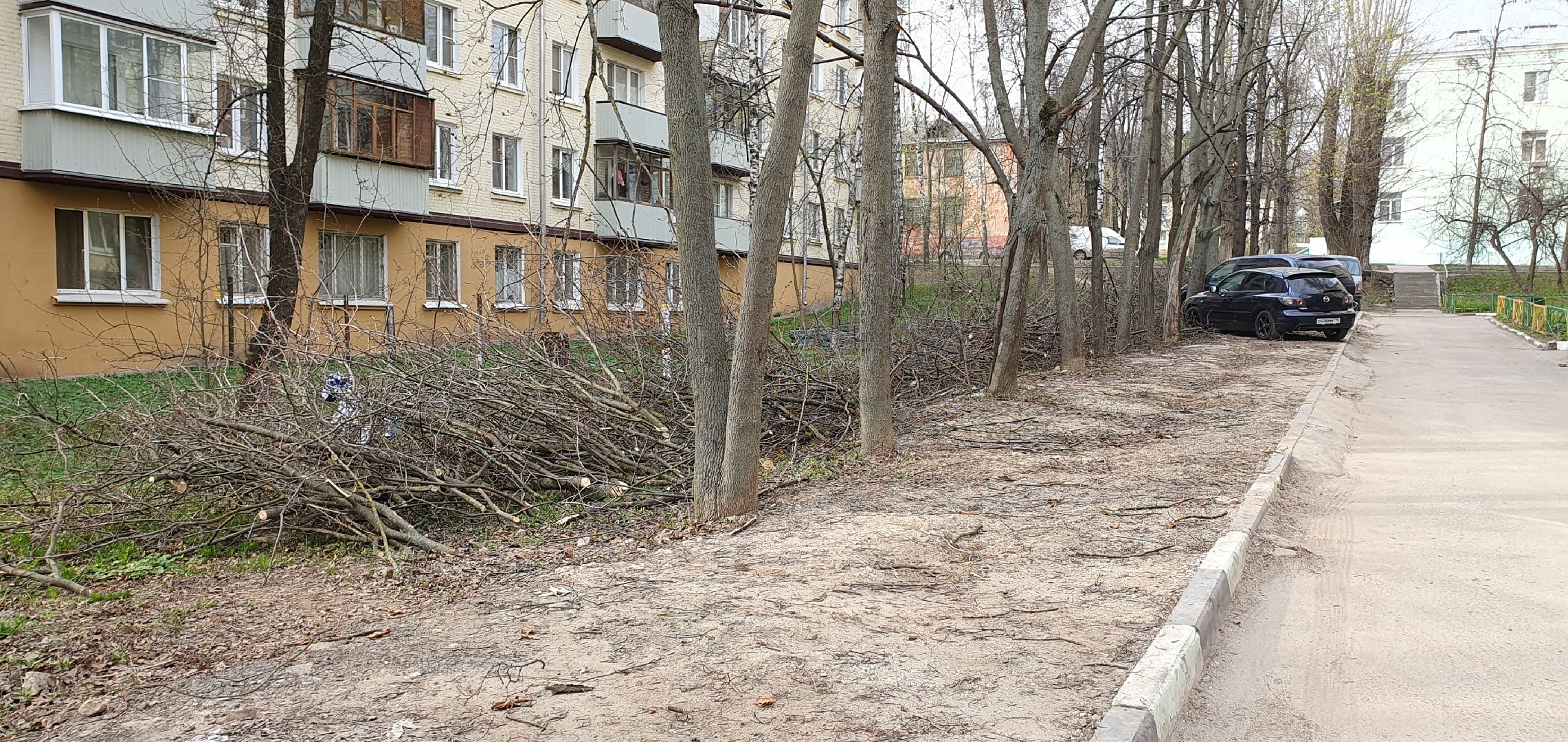 благоустройство, безопасность, обрезка крон, Дзержинский