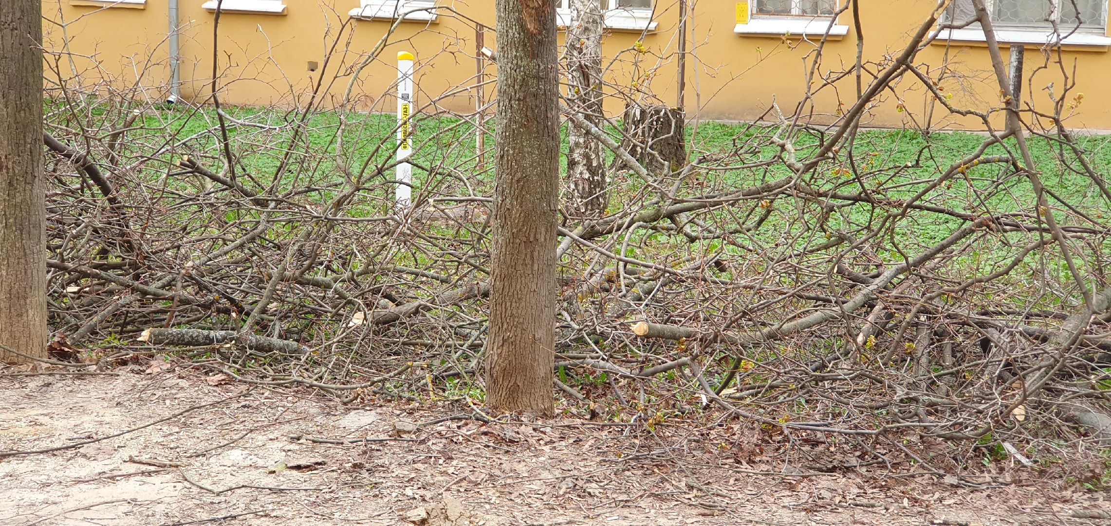 благоустройство, безопасность, обрезка крон, Дзержинский
