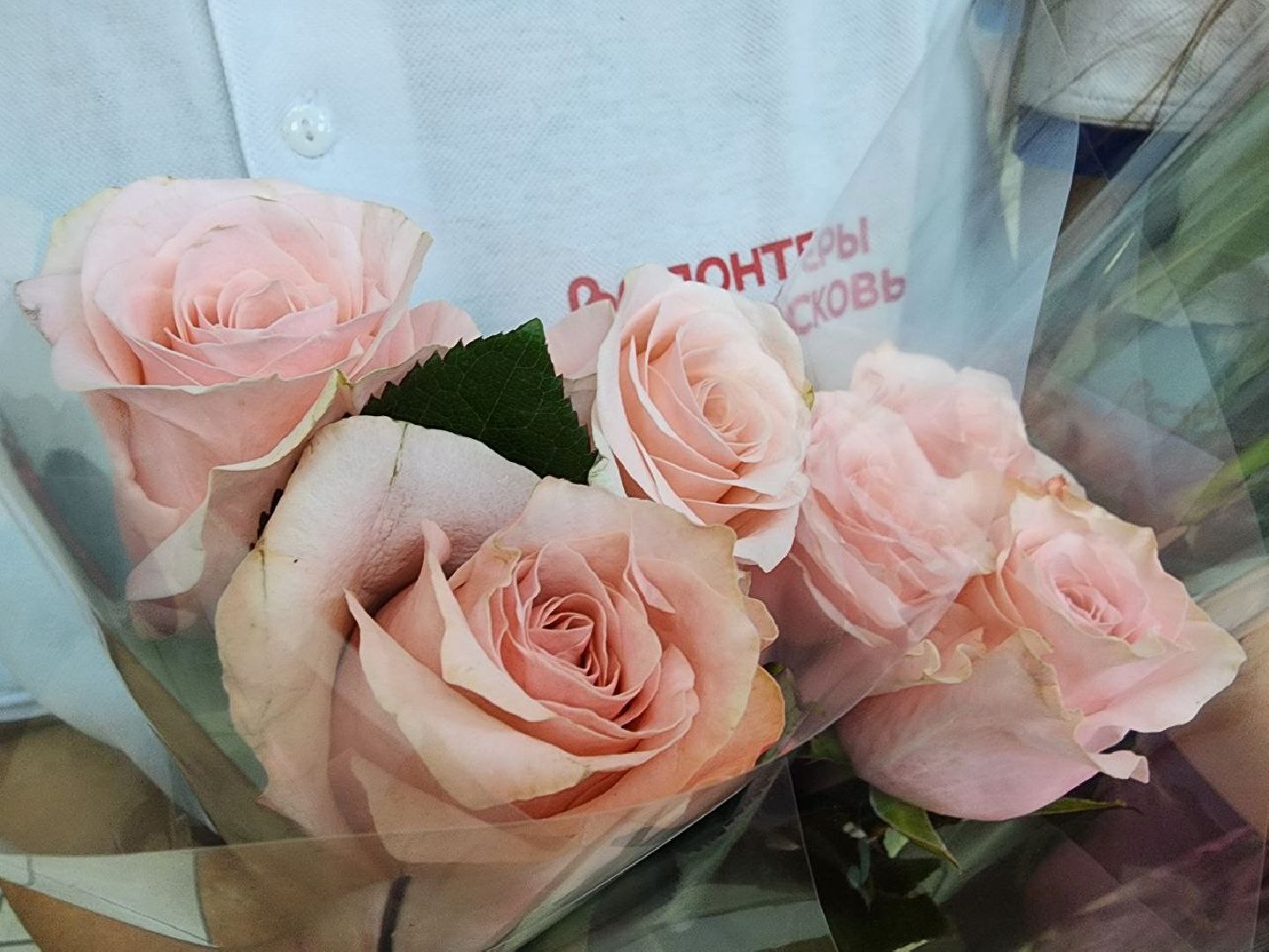 можайск, можайский городской округ, подмосковье, спецперация, день матери, дети, сво, праздник, мастер-класс, Комитет семей воинов Отечества Можайского округа, мама,