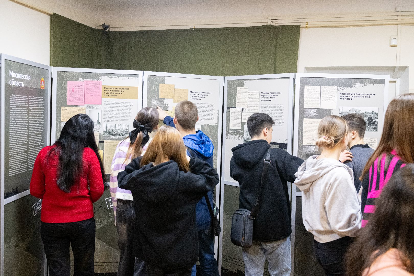 лыткарино, выставка, общество, вертикалка,