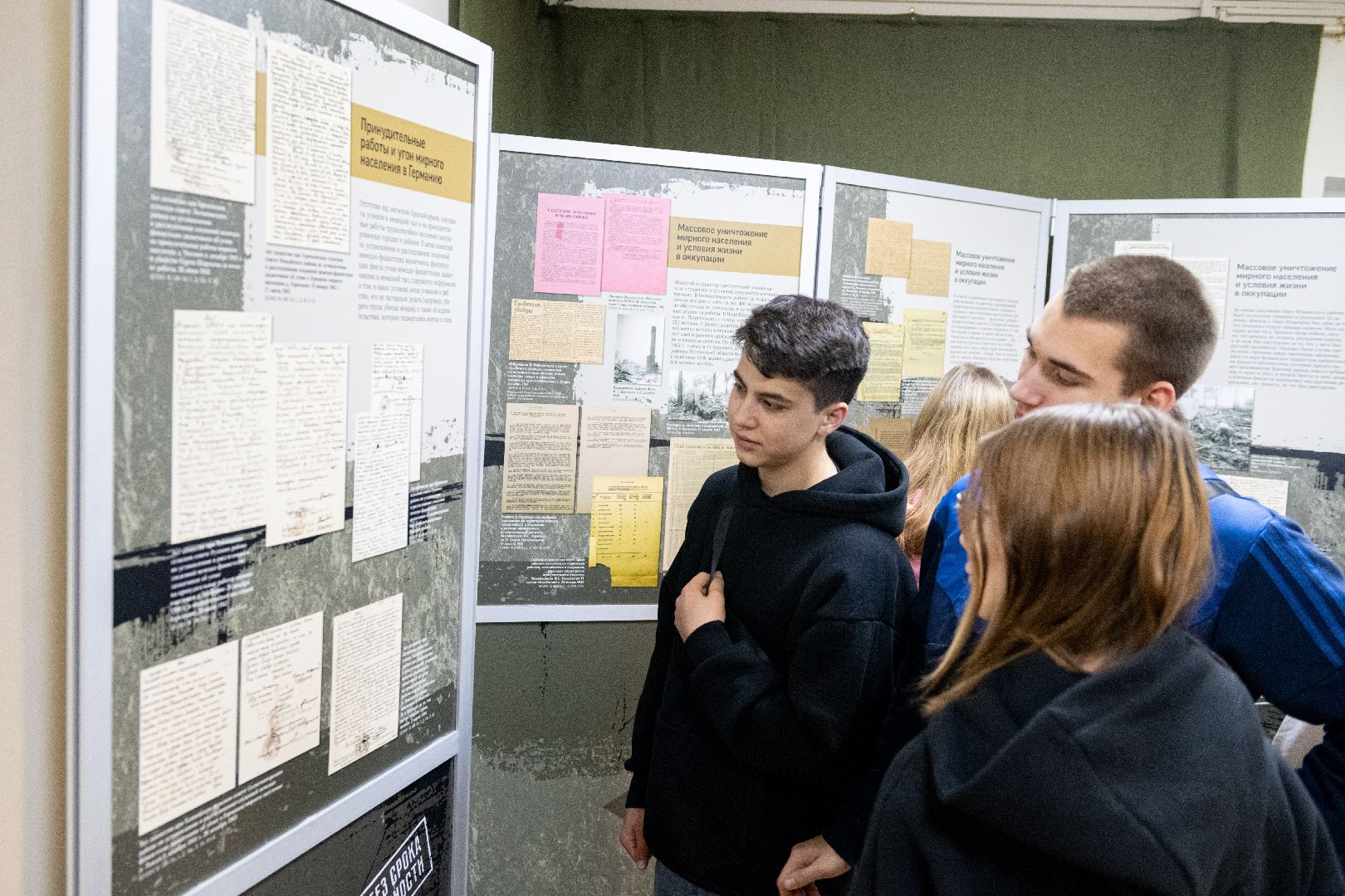 лыткарино, выставка, общество, вертикалка,