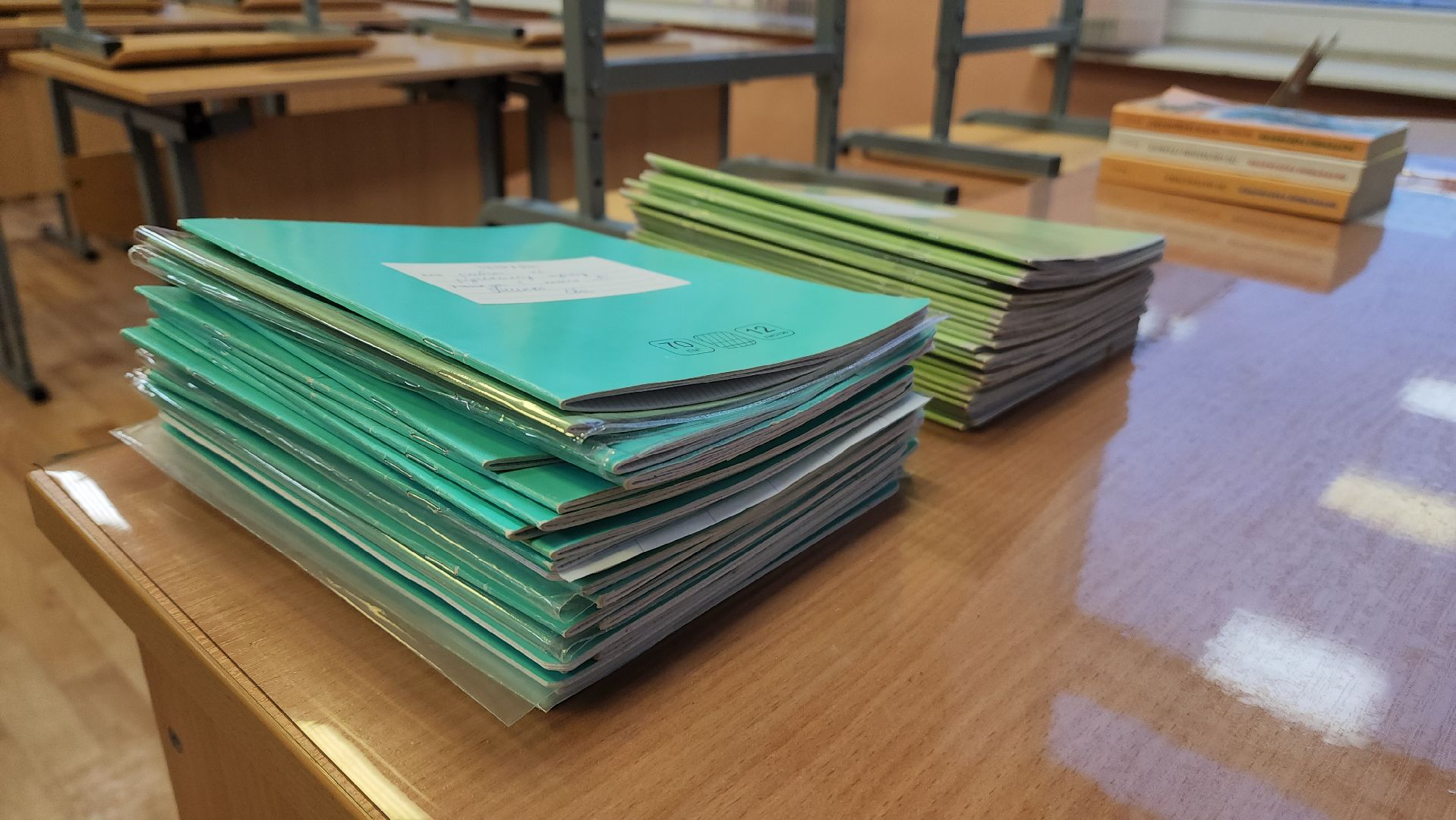 красногорск, многодетная мама, учитель, день матери,