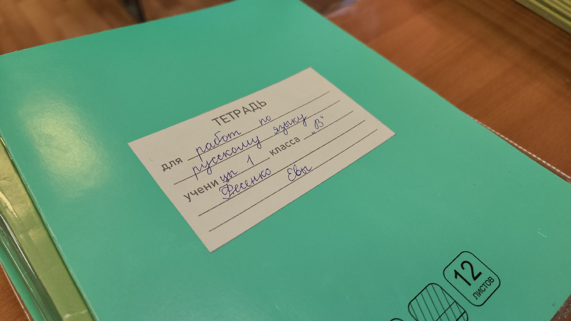 красногорск, многодетная мама, учитель, день матери,