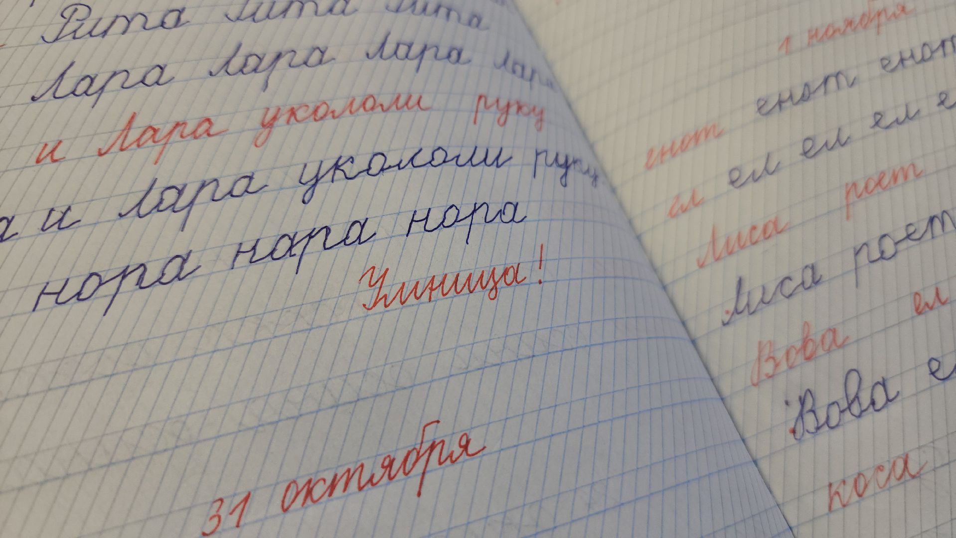 красногорск, многодетная мама, учитель, день матери,