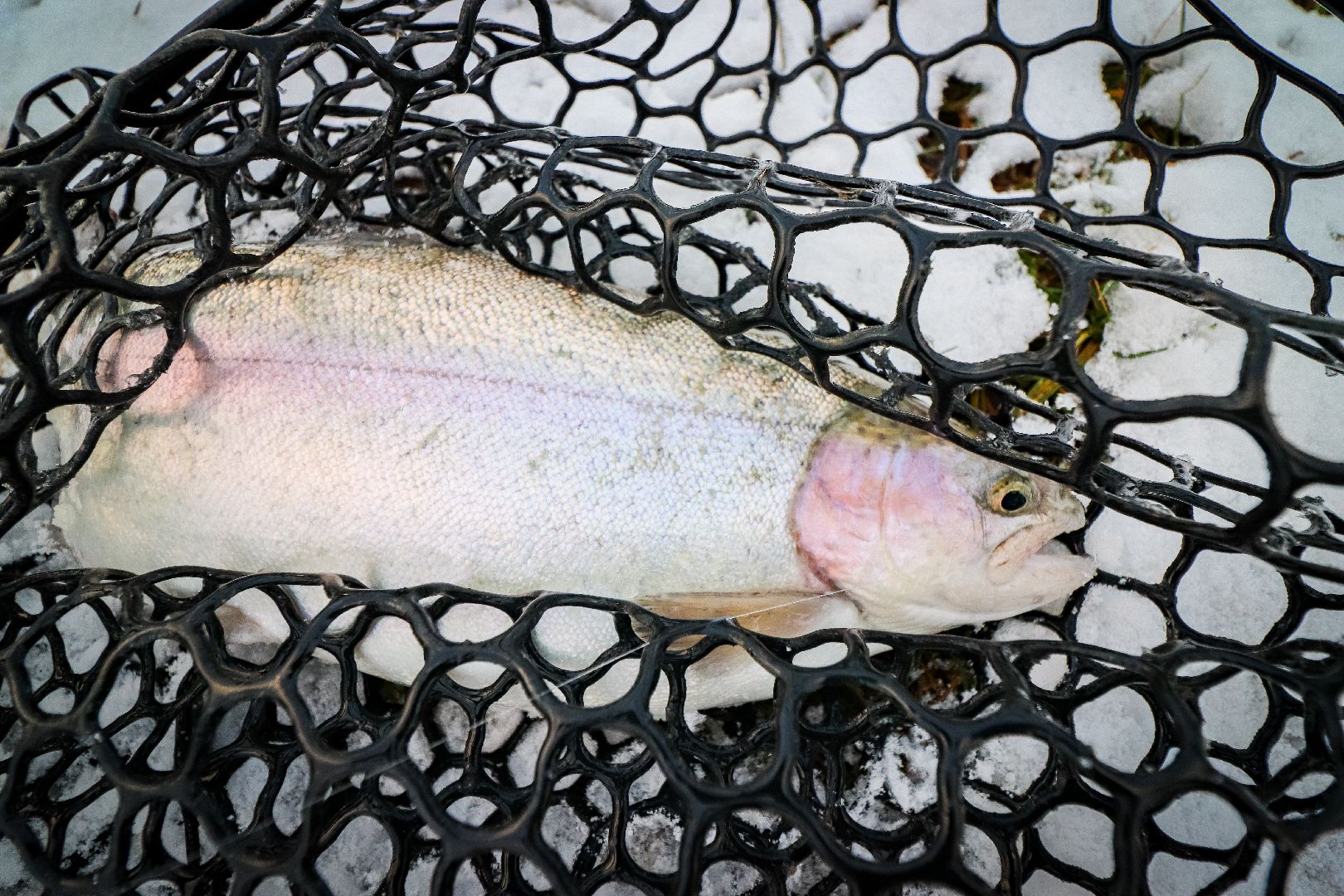 Клин, общество, рыбалка, туризм, Подмосковье, отдых на природе,