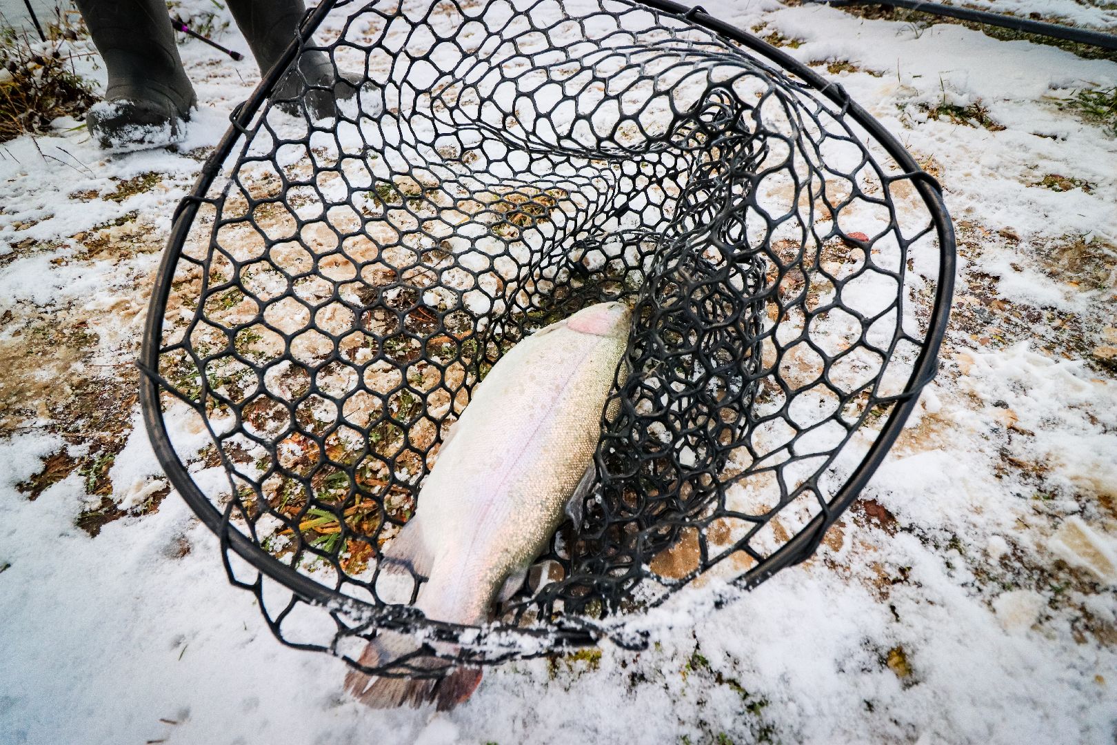 Клин, общество, рыбалка, туризм, Подмосковье, отдых на природе,