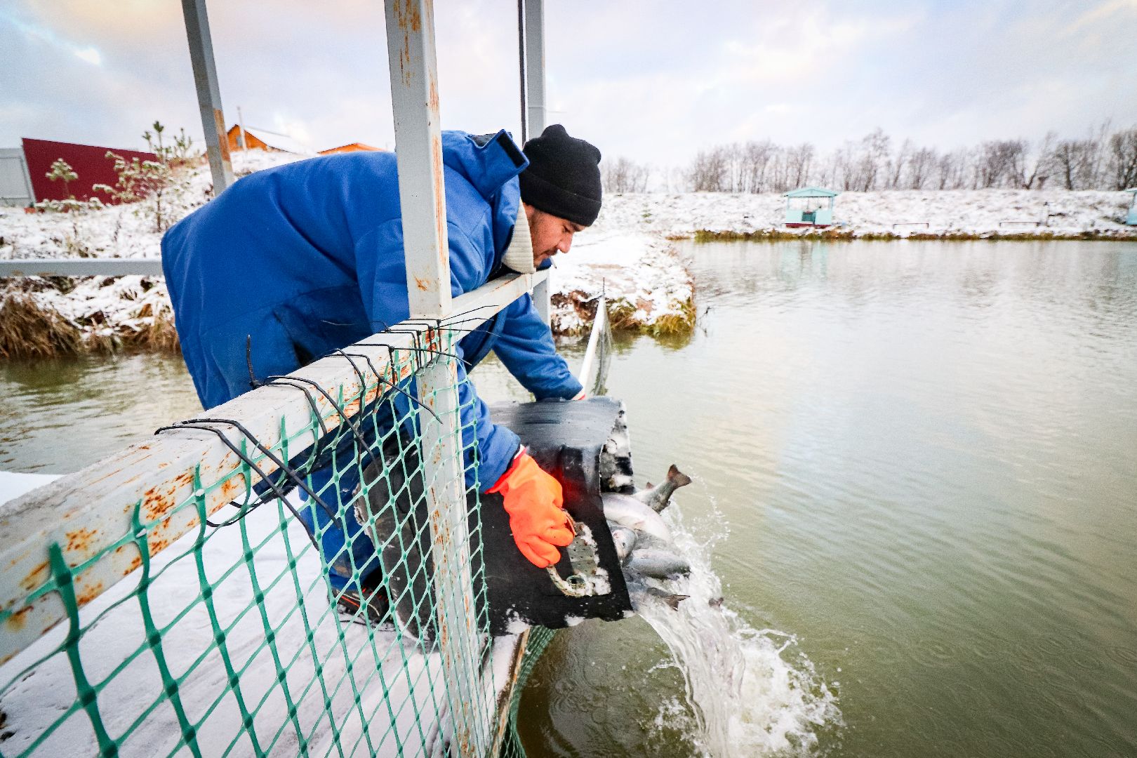 Клин, общество, рыбалка, туризм, Подмосковье, отдых на природе,