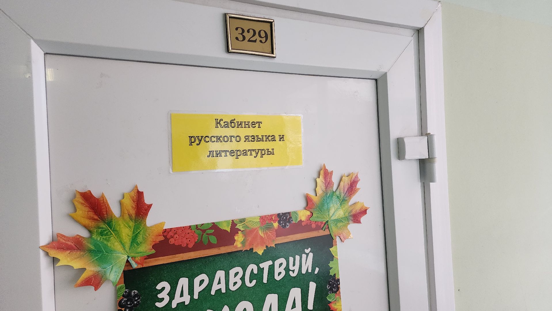 Бронницы, Многодетная мама, Учитель русского языка и литературы, Гимназия имени Пушкина,