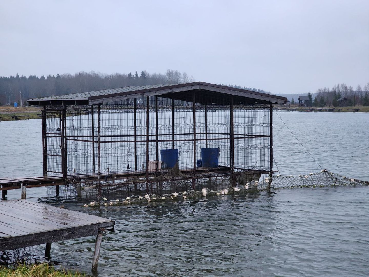 можайск, можайский городской округ, подмосковье, рыбалка, сезон форели, рыбаки, любители рыбалки, рыболовные клубы,