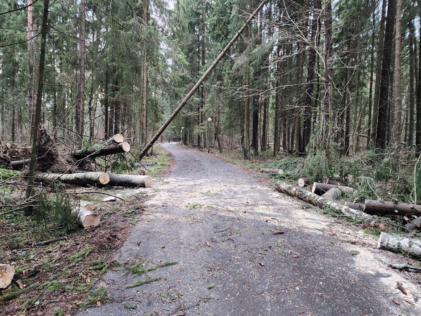 Черноголовка, Ураган, Жкх,