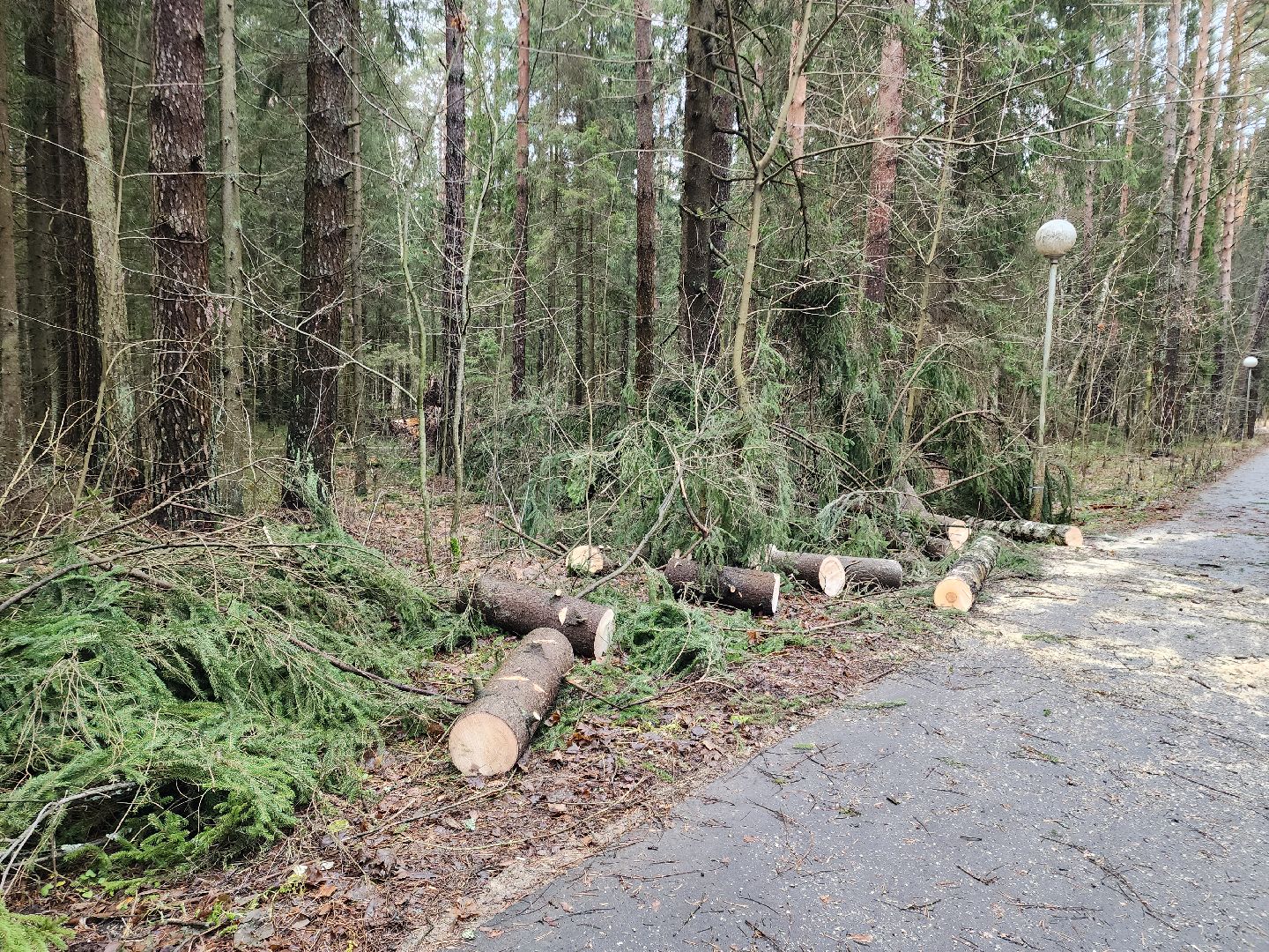 Черноголовка, Ураган, Жкх,