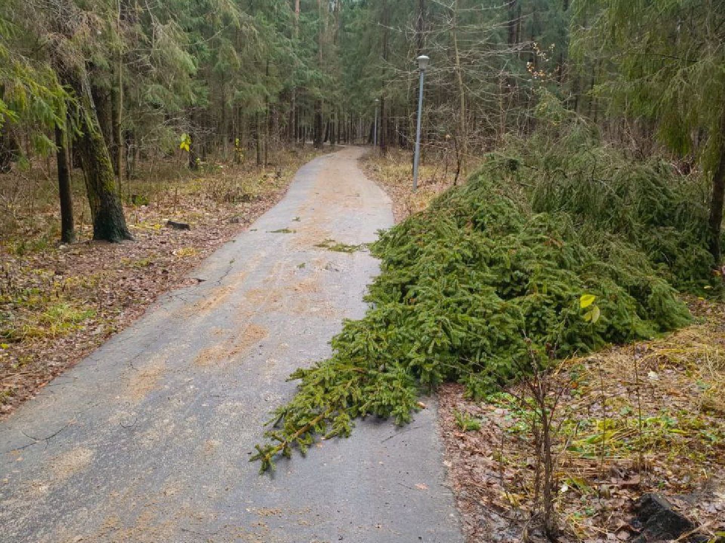 Черноголовка, Ураган, Жкх,