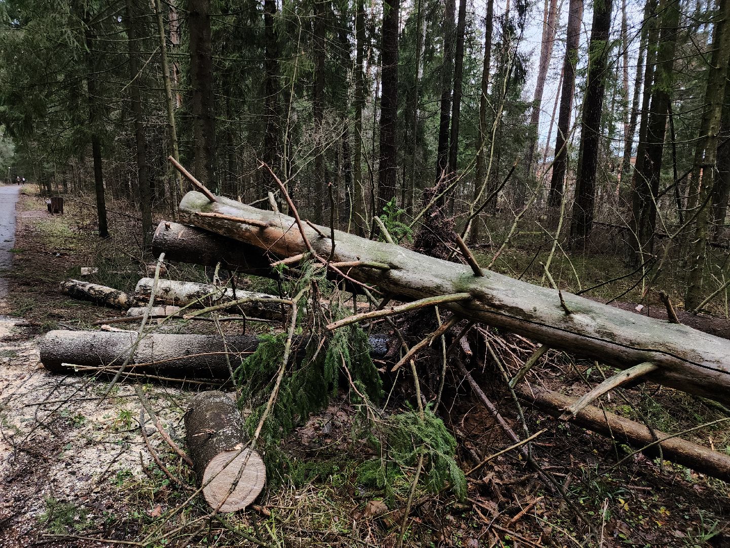 Черноголовка, Ураган, Жкх,