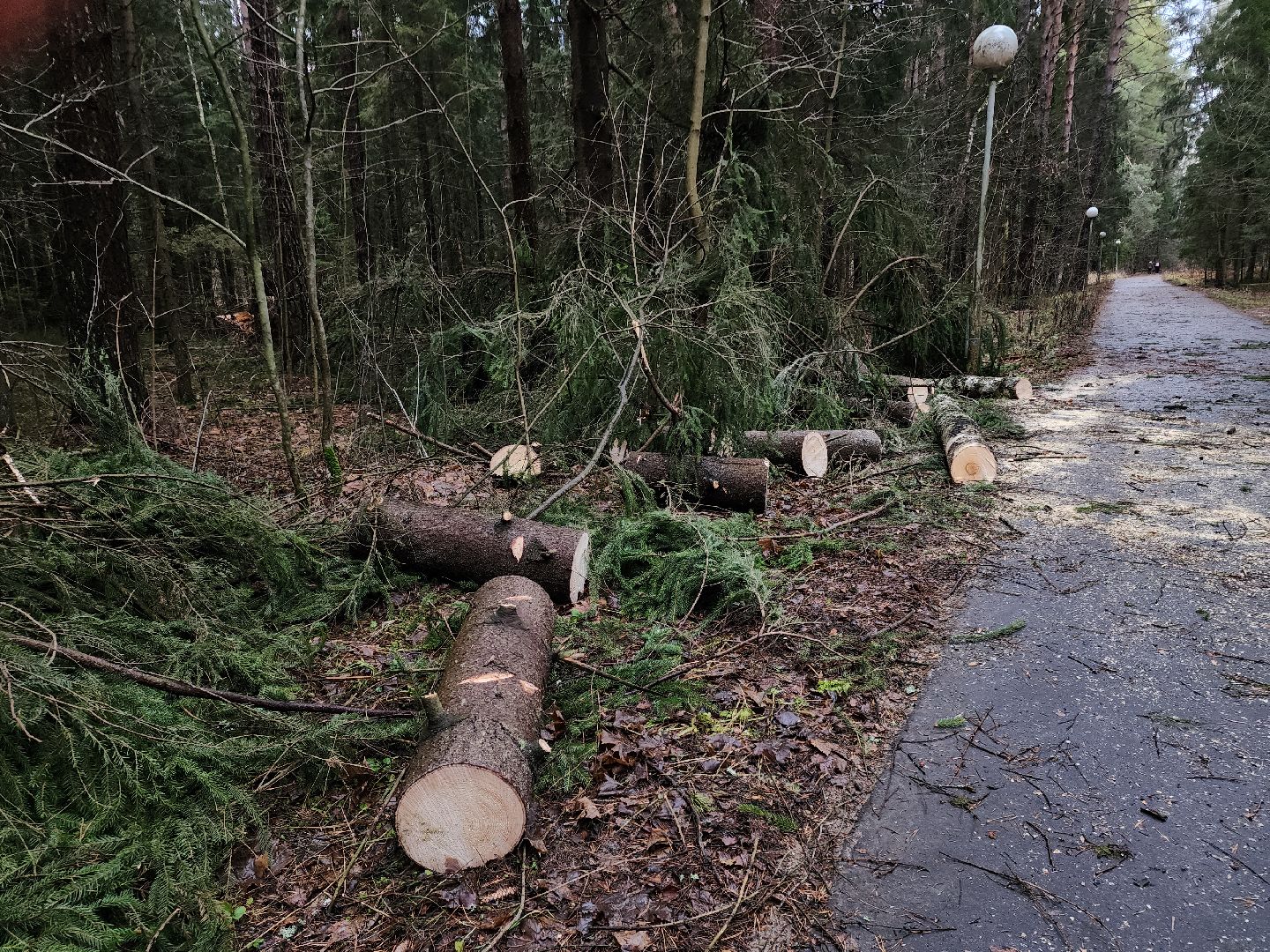 Черноголовка, Ураган, Жкх,