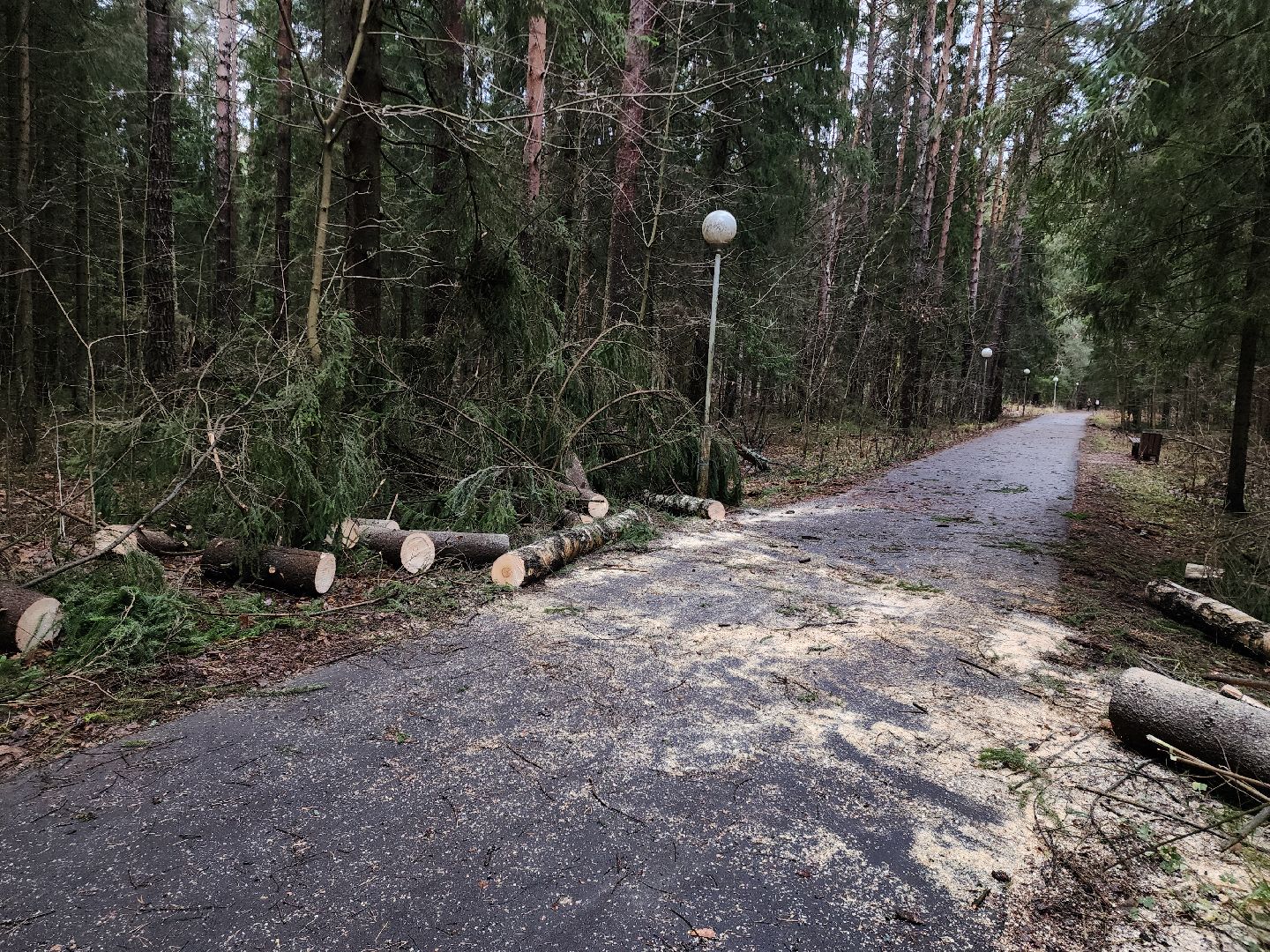 Черноголовка, Ураган, Жкх,