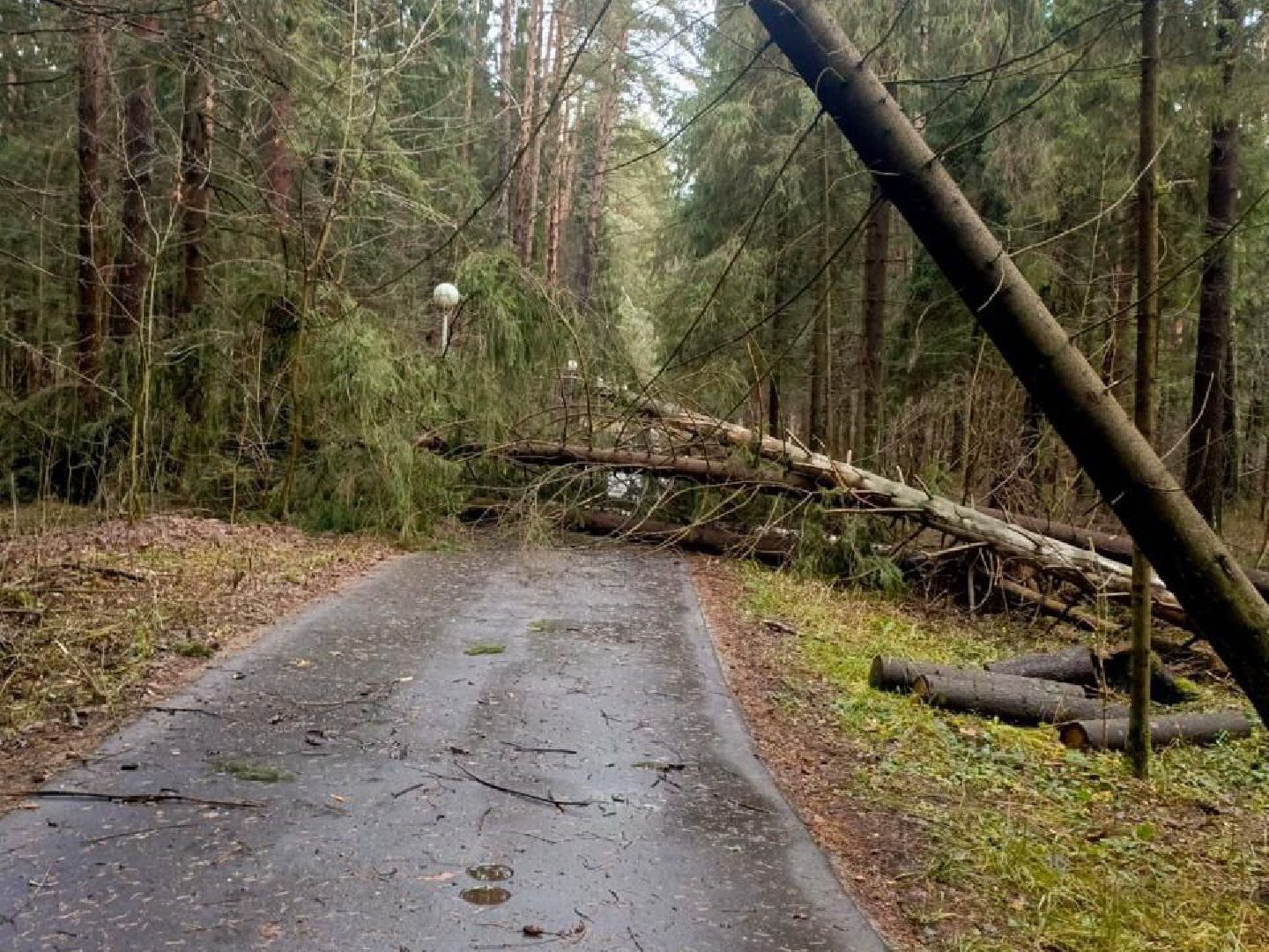 Черноголовка, Ураган, Жкх,