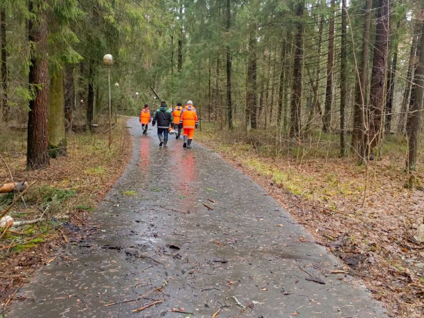 Черноголовка, Ураган, Жкх,