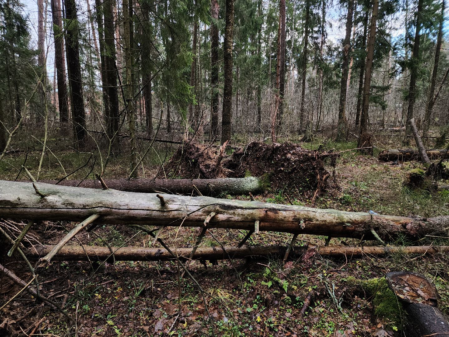 Черноголовка, Ураган, Жкх,