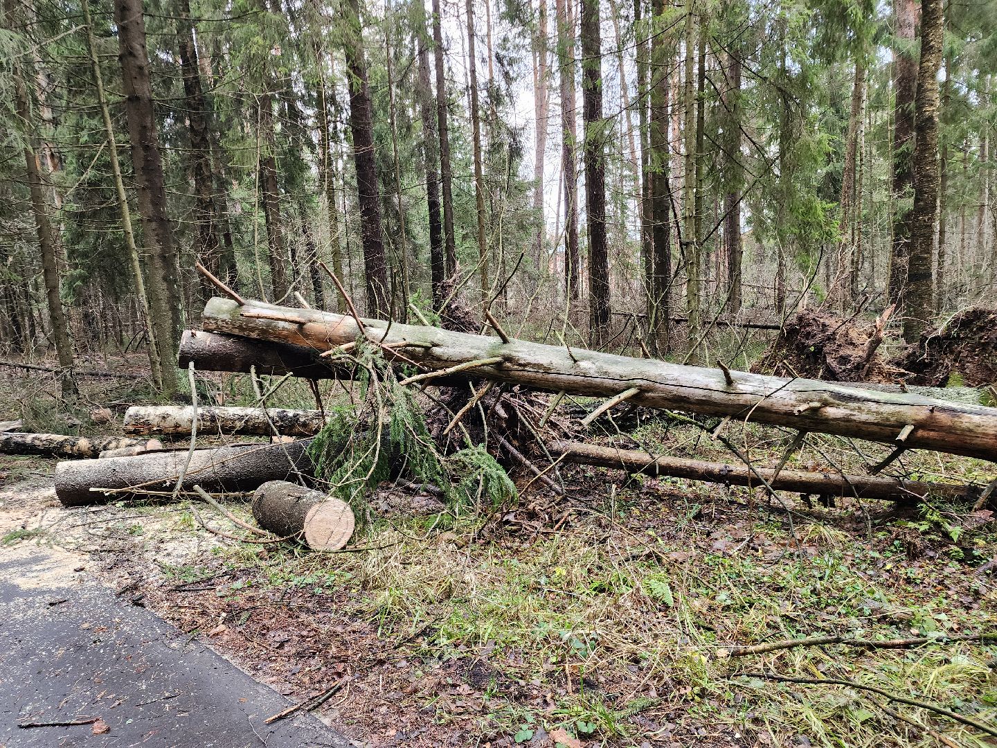Черноголовка, Ураган, Жкх,
