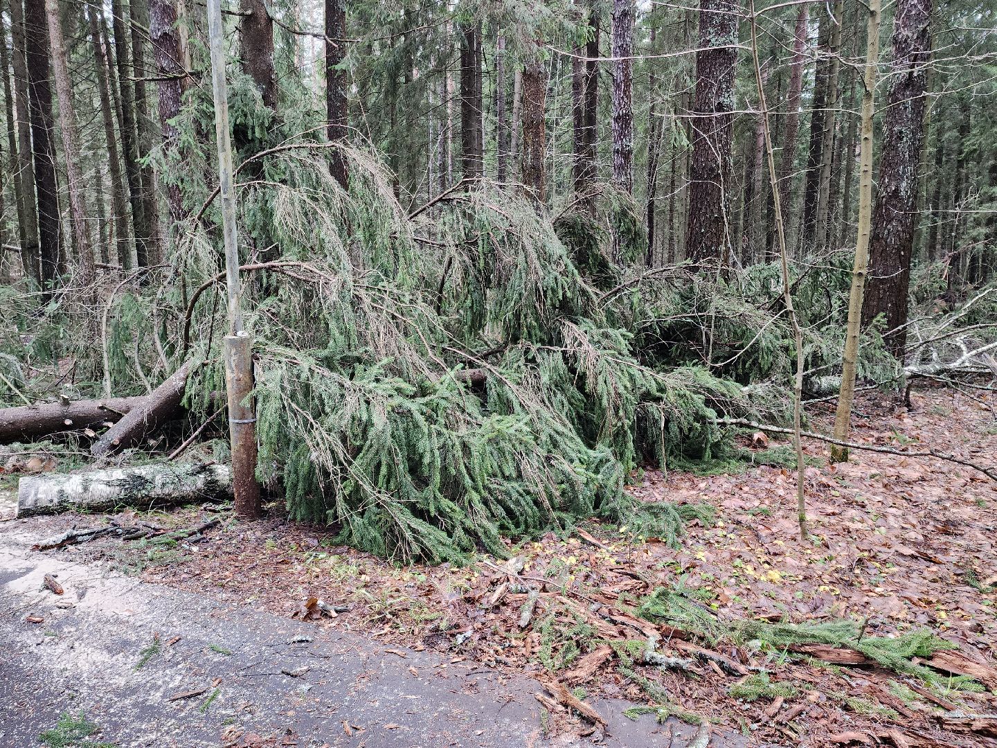 Черноголовка, Ураган, Жкх,