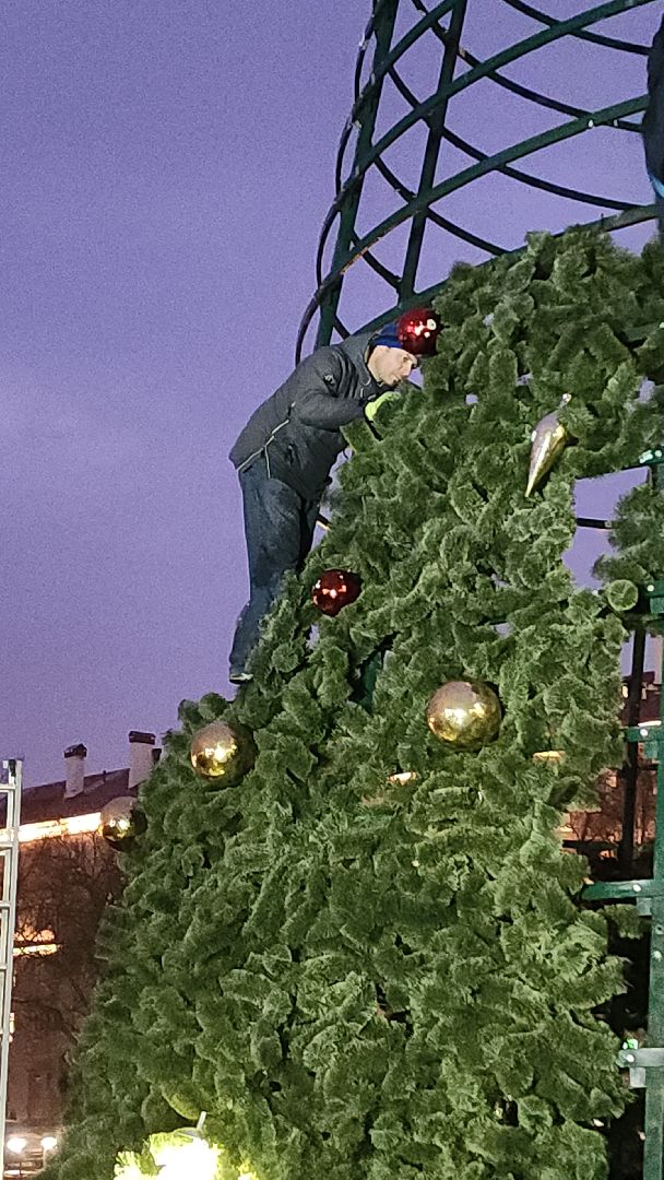 ёлка, новогодняя елка, электросталь, зимний сезон, праздник, новогоднее оформление, новогоднее настроение, новогоднее украшение, мбу, мбу благоустройство, вертикалка, вертикальное видео,