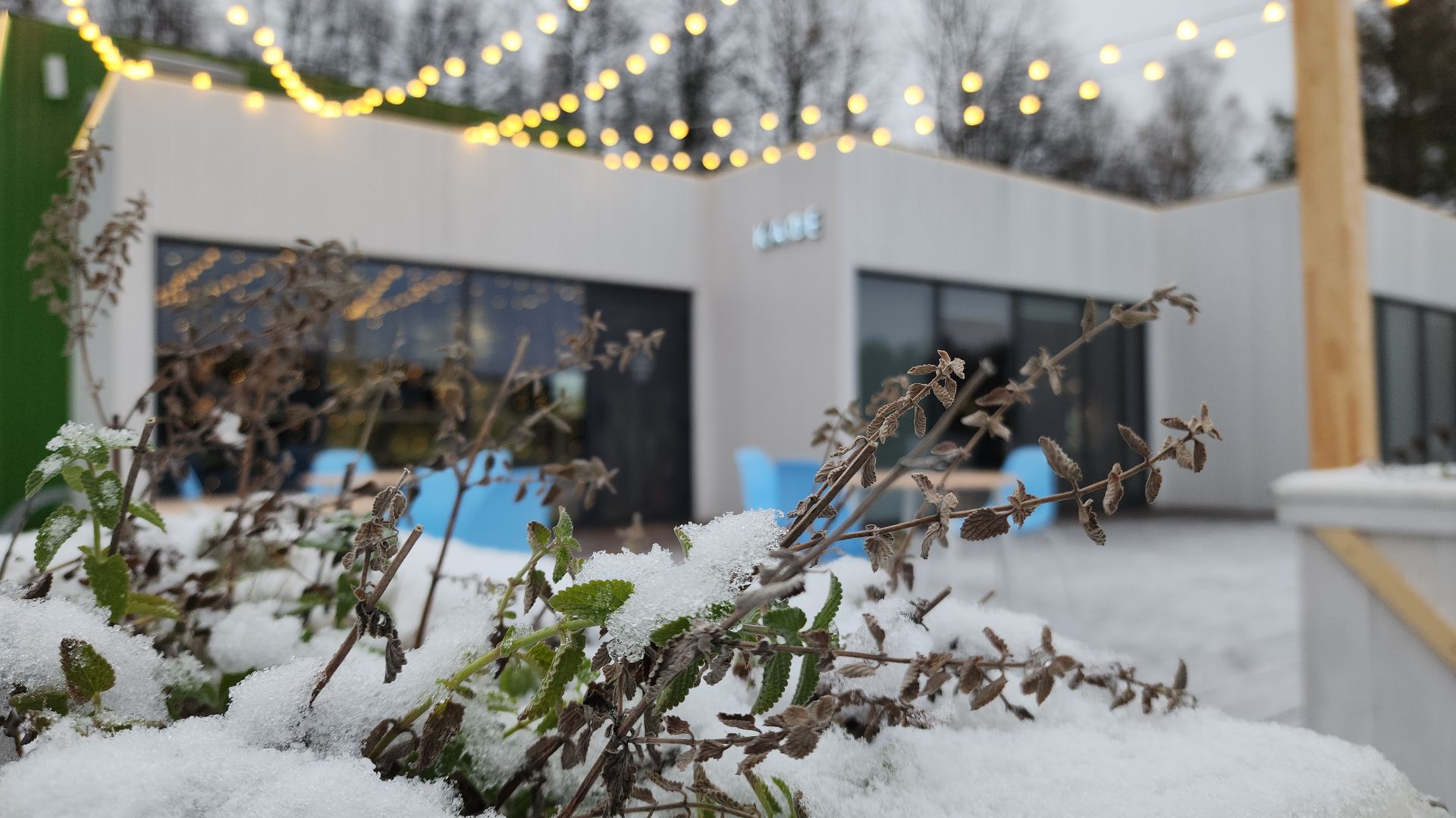 день матери, день мамы, праздник, концерт, парк авангард, парки подмосковья,