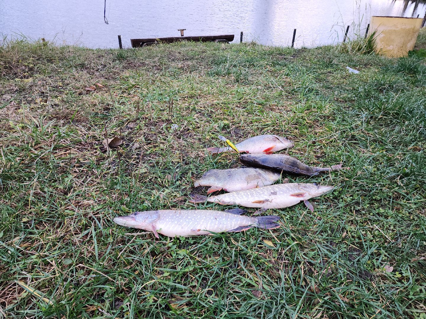 раменское, туризм, платная рыбалка, рыболовный клуб гжелка,