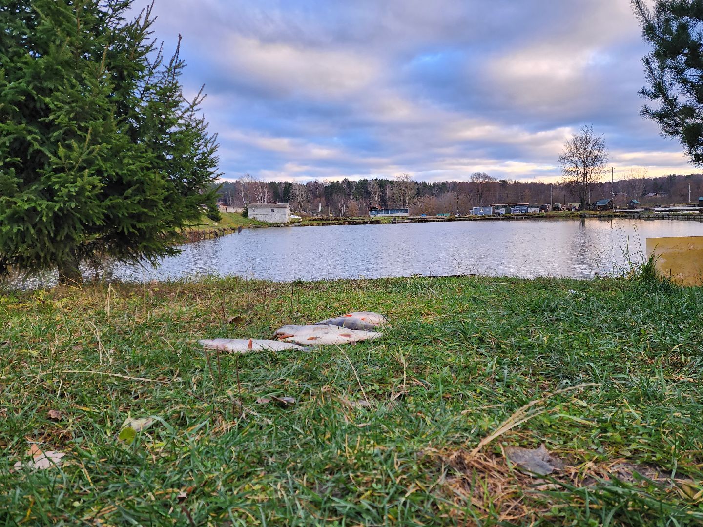 раменское, туризм, платная рыбалка, рыболовный клуб гжелка,