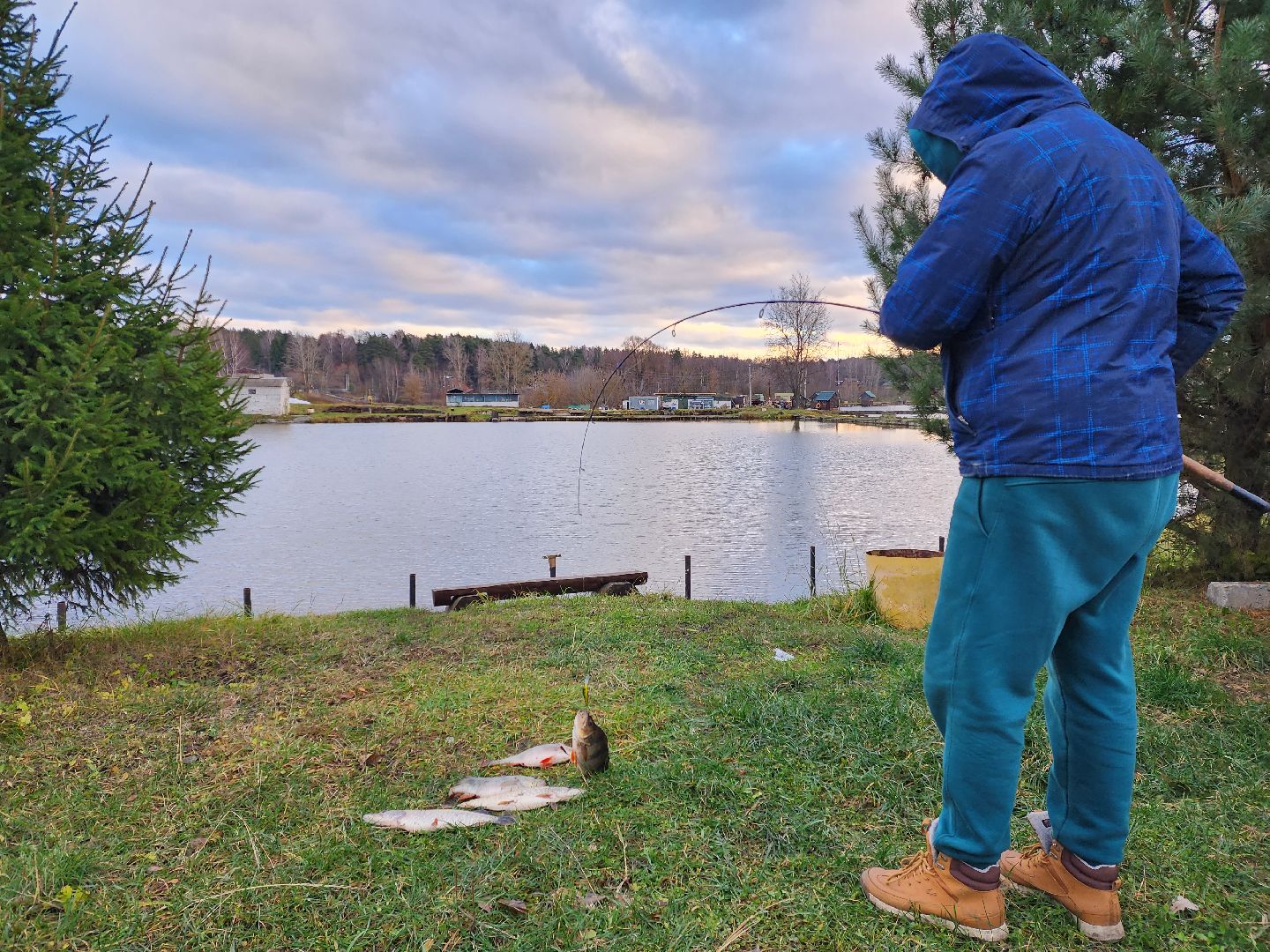 раменское, туризм, платная рыбалка, рыболовный клуб гжелка,