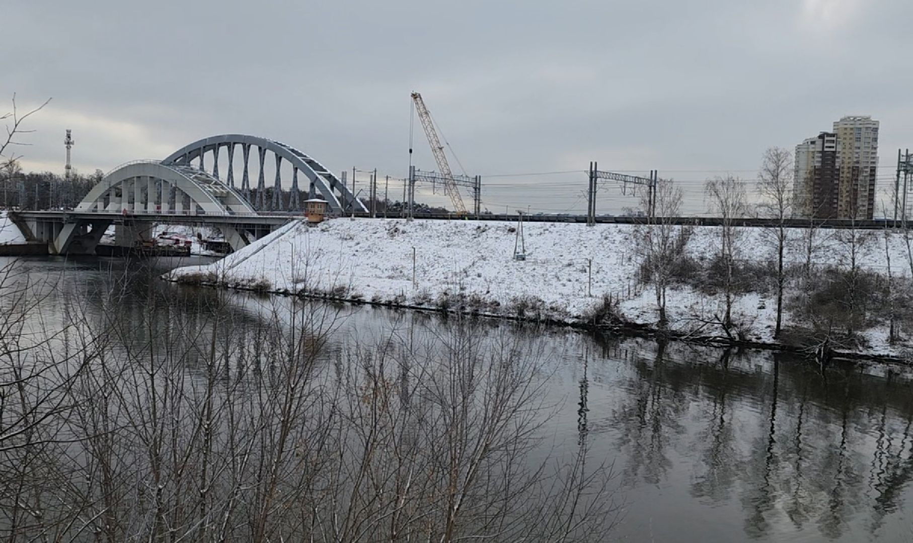 зима, ель, новый год, парк, химки, вертикалки,