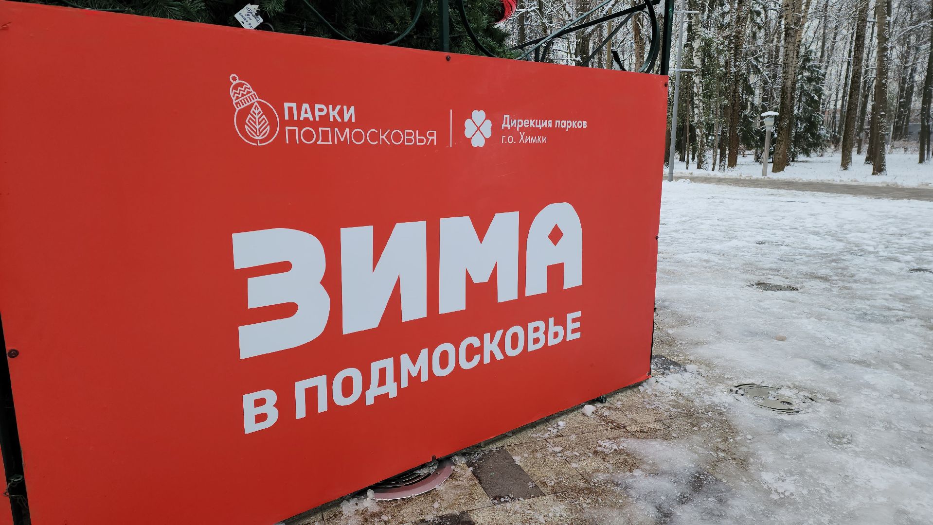 зима, ель, новый год, парк, химки, вертикалки,