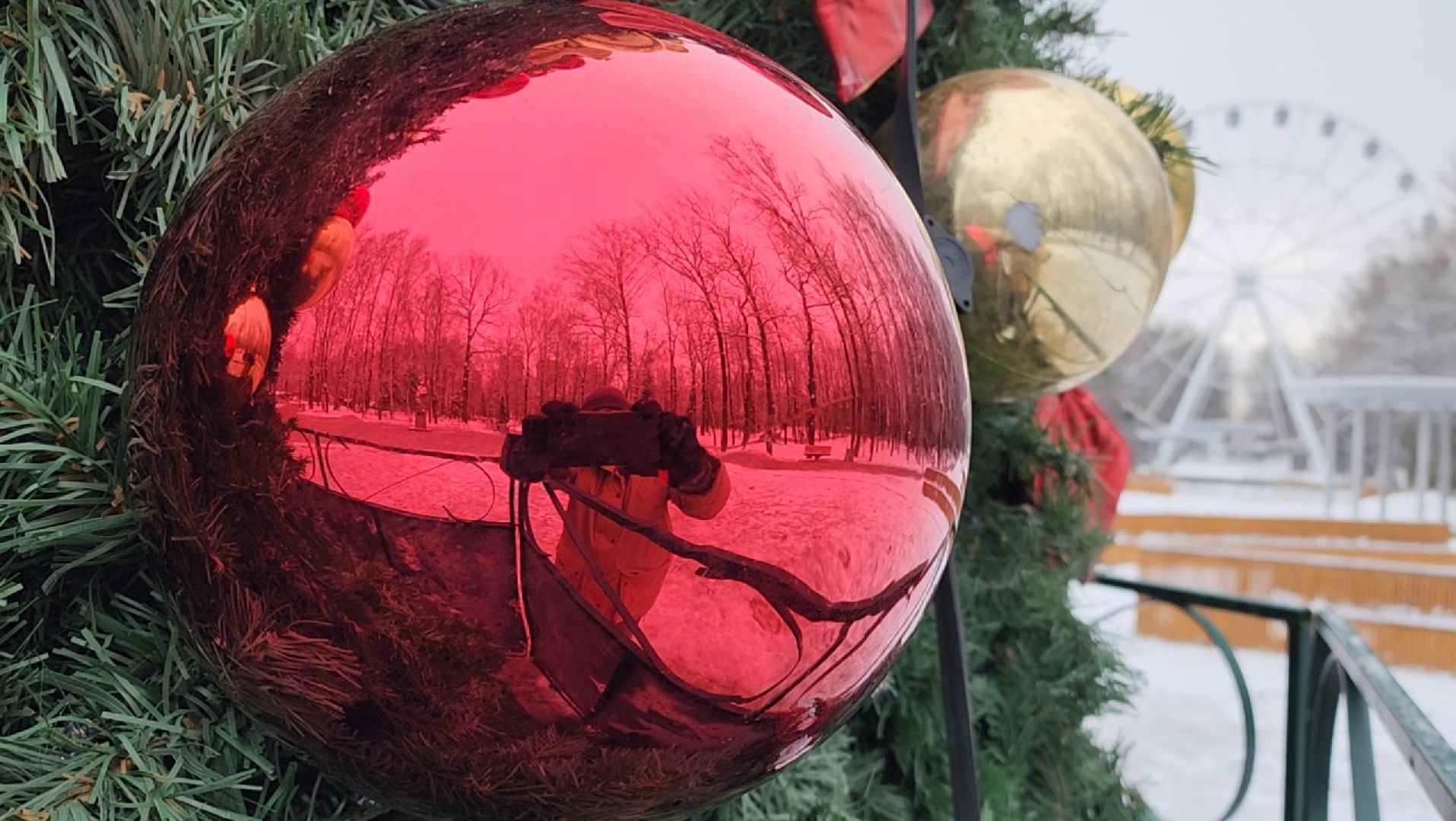 зима, ель, новый год, парк, химки, вертикалки,