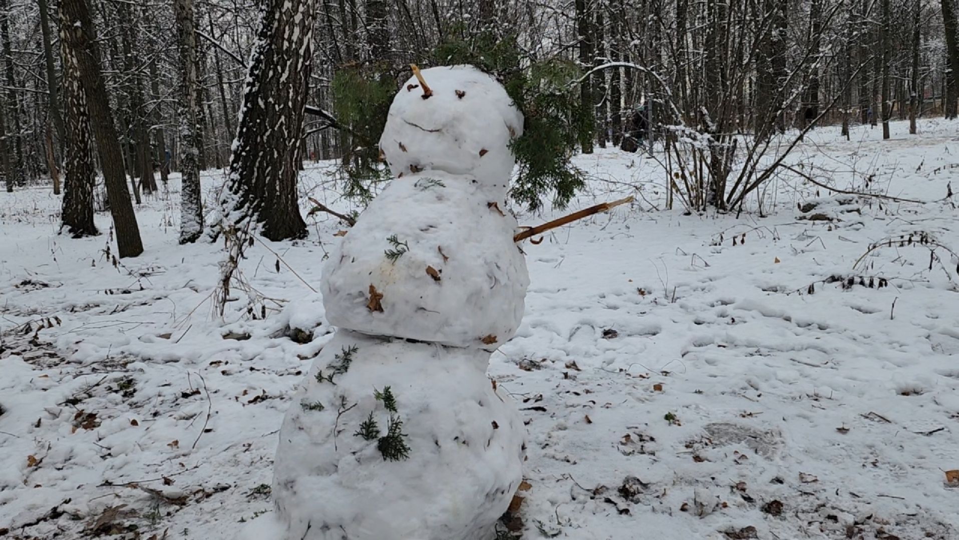 зима, ель, новый год, парк, химки, вертикалки,