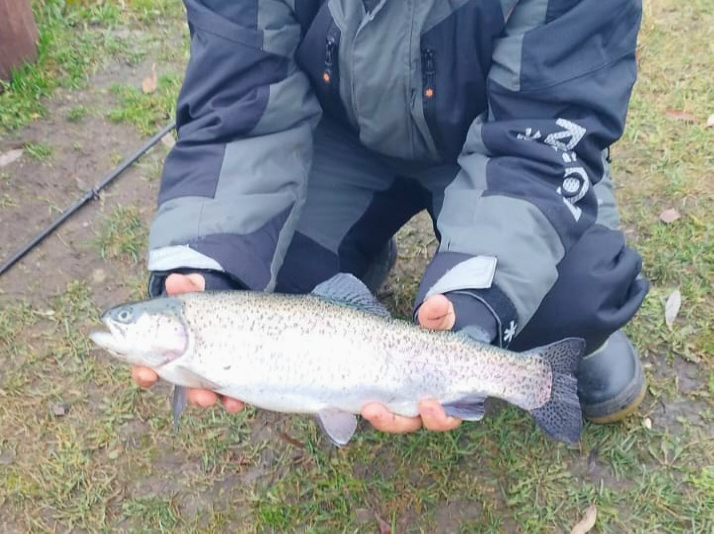 вертикалки, форель, мытищи,