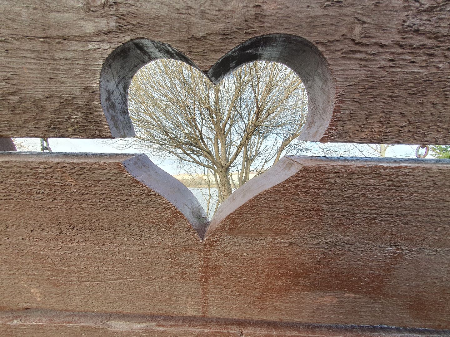 вертикалки, форель, мытищи,